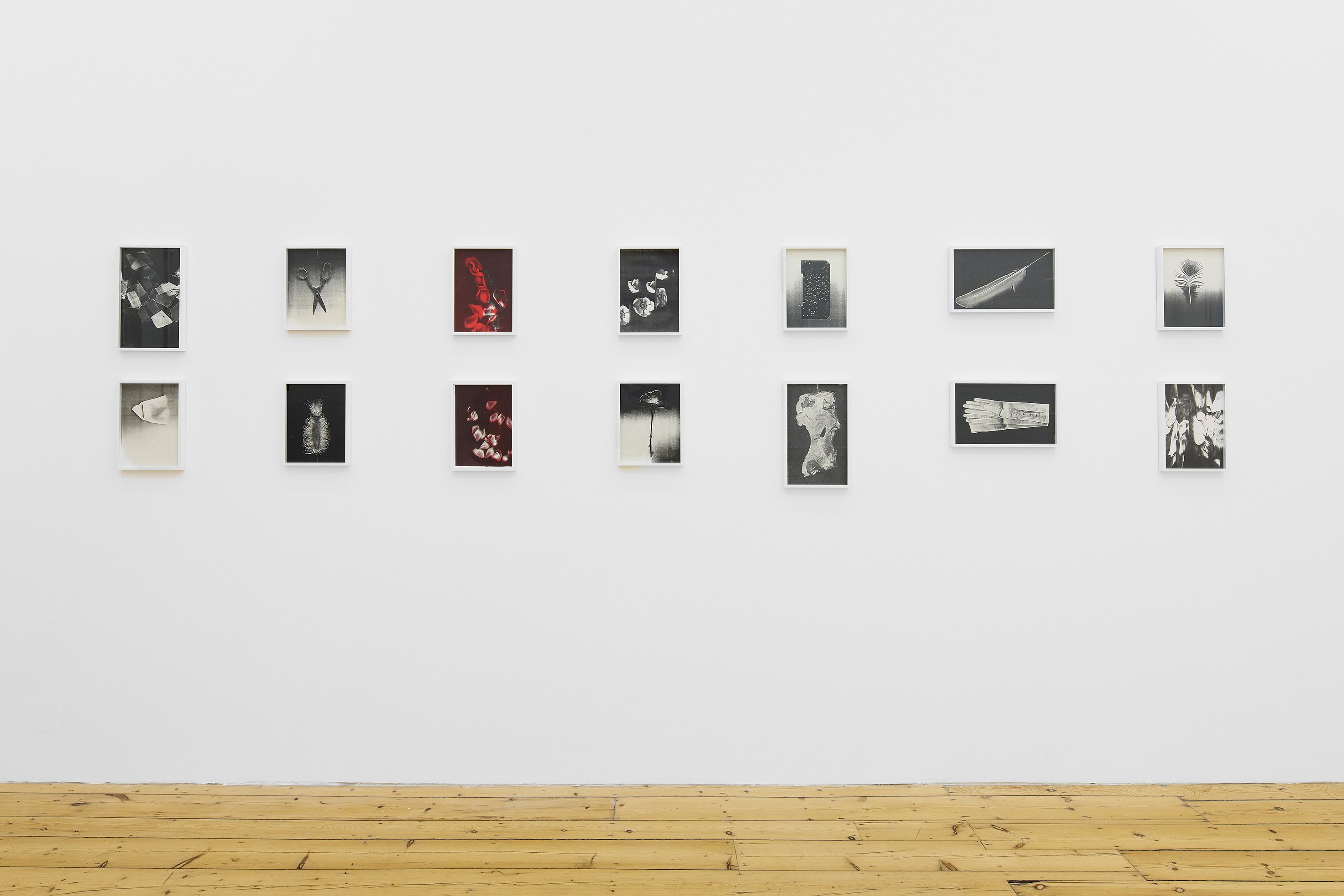 Pati Hill, Wolfgang Tillmans, Condo London 2025 at Studio M, photo 2