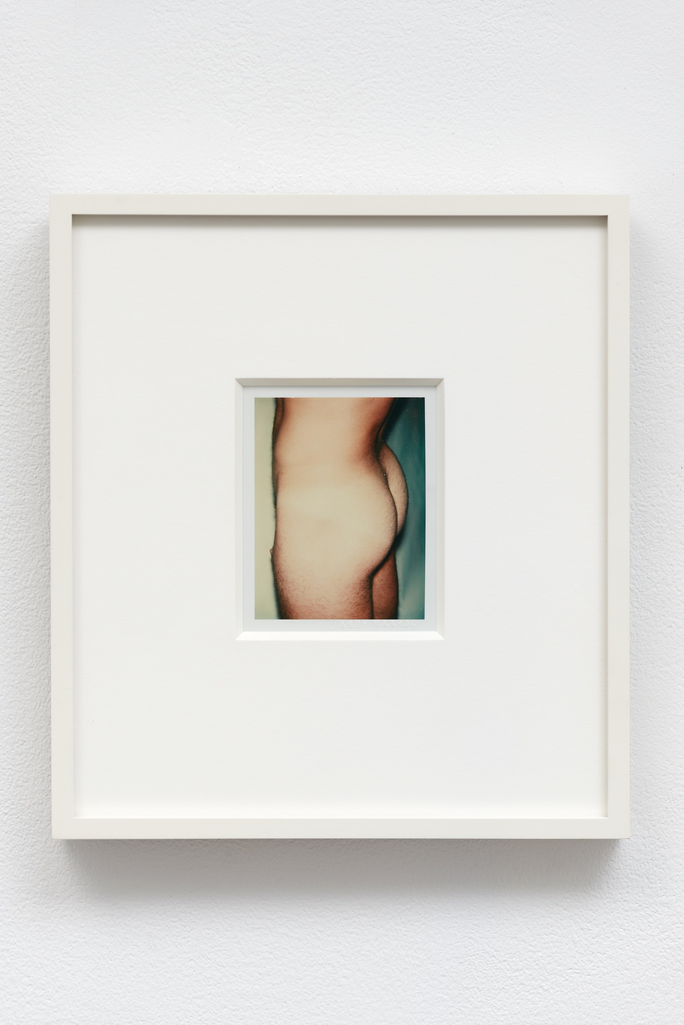 Andy Warhol, Nudes at 56 Henry, photo 16