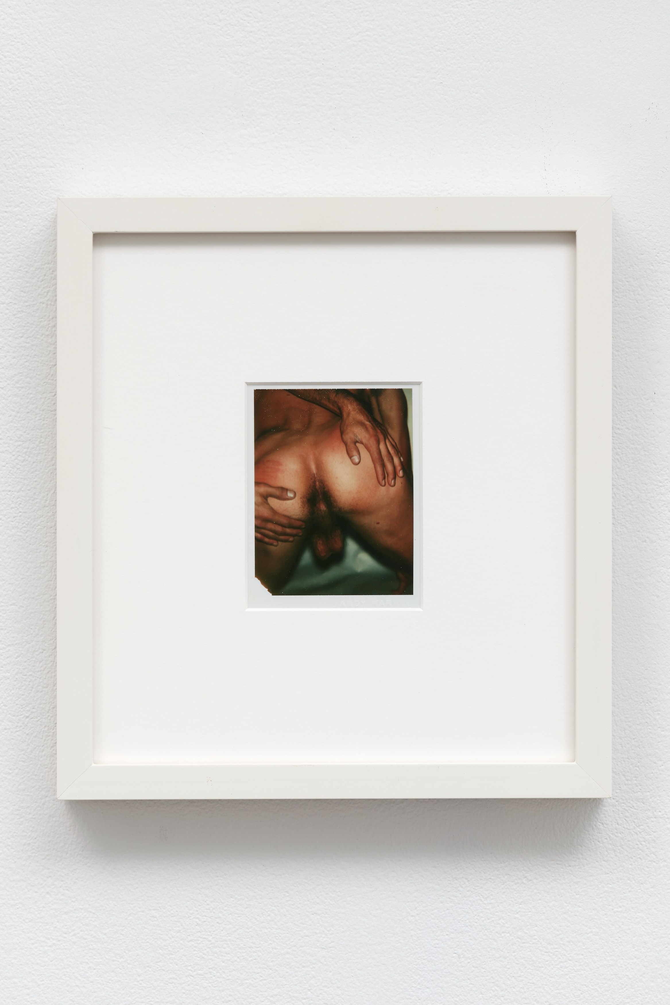 Andy Warhol, Nudes at 56 Henry, photo 22