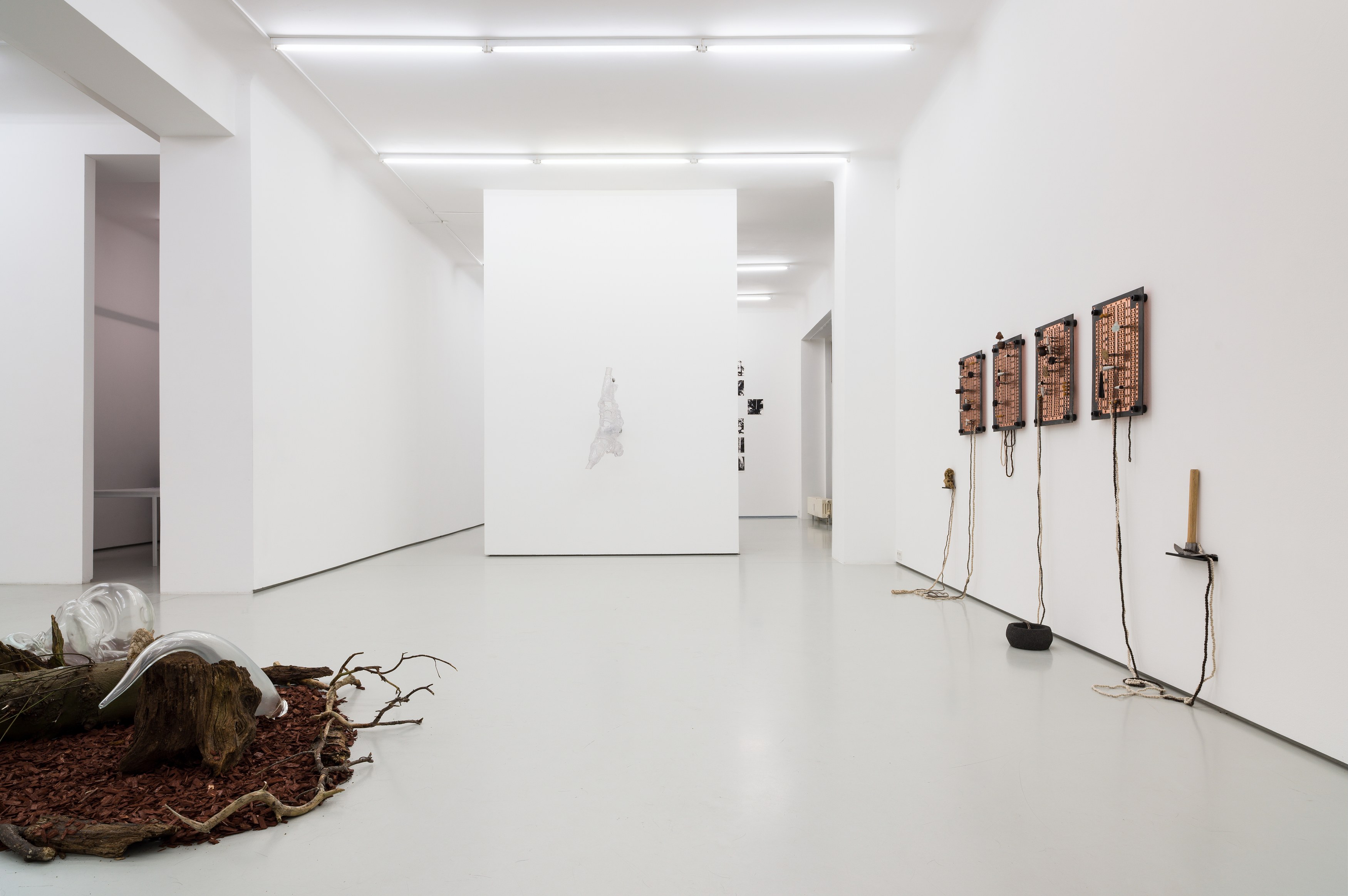 Kin Is Not Kind, Kin Is Not Kind at alexander levy, Berlin and LEVY Galerie, Berlin, photo 3