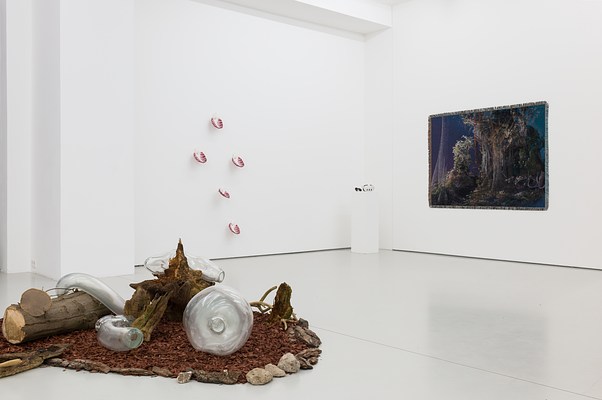 Image 1 of 24