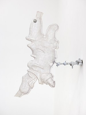 Image 12 of 24
