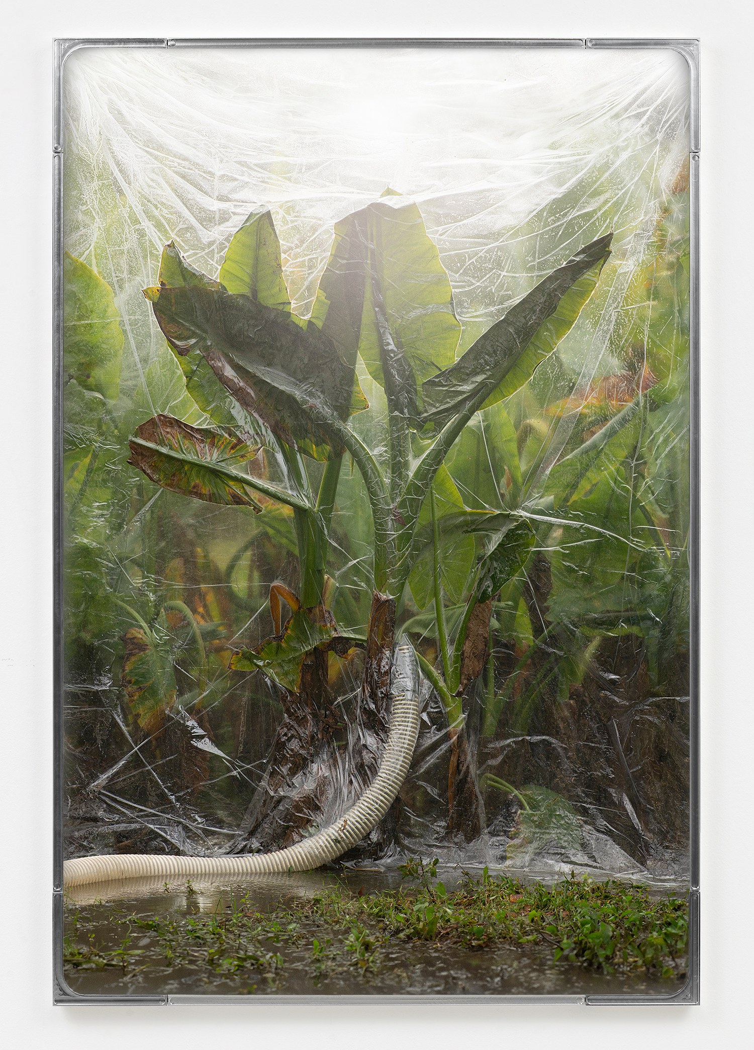 Kin Is Not Kind, Kin Is Not Kind at alexander levy, Berlin and LEVY Galerie, Berlin, photo 13