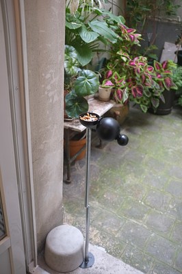 Image 15 of 19