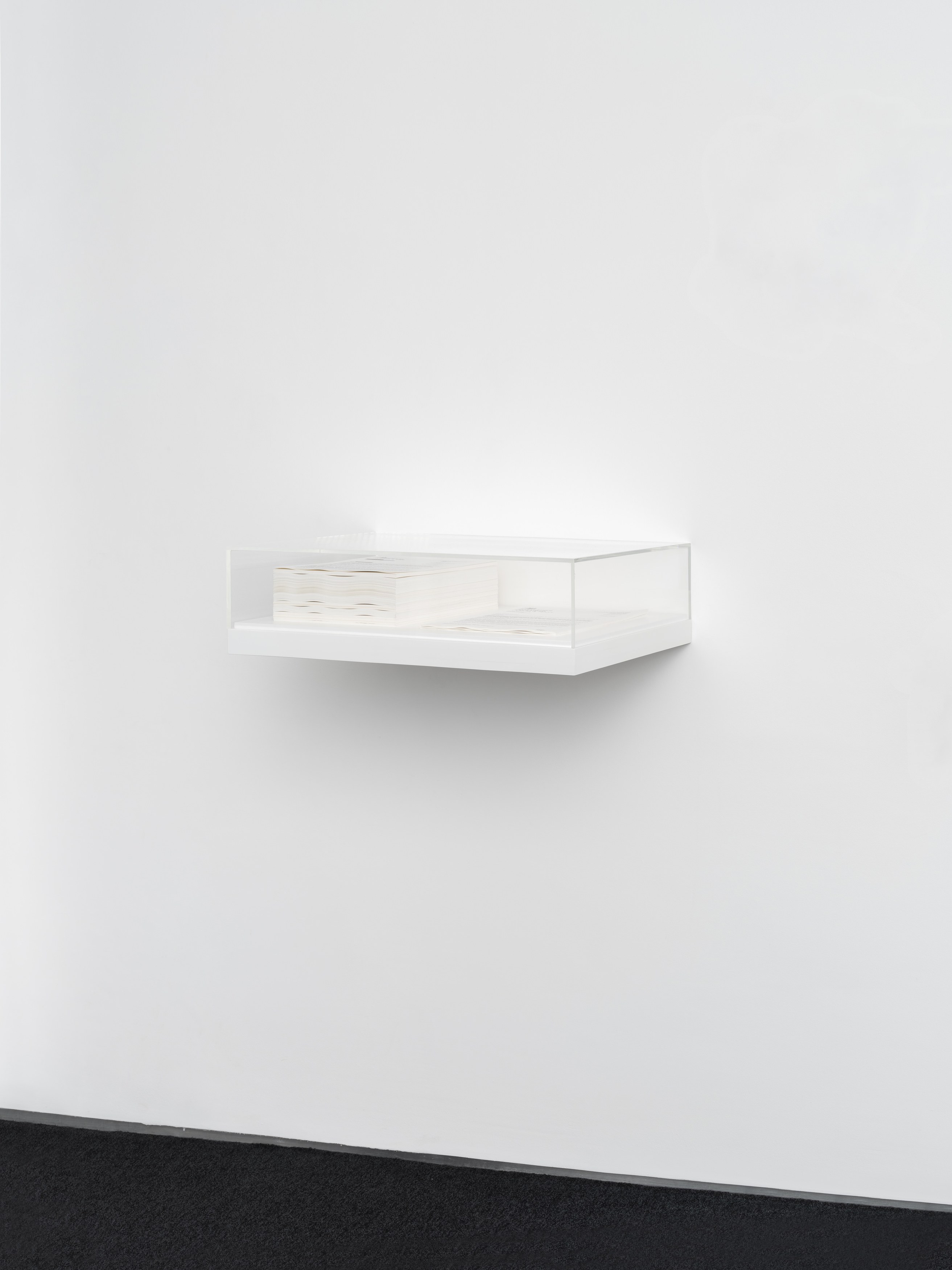 Ceidra Moon Murphy, Public Interest at A. Squire, photo 6