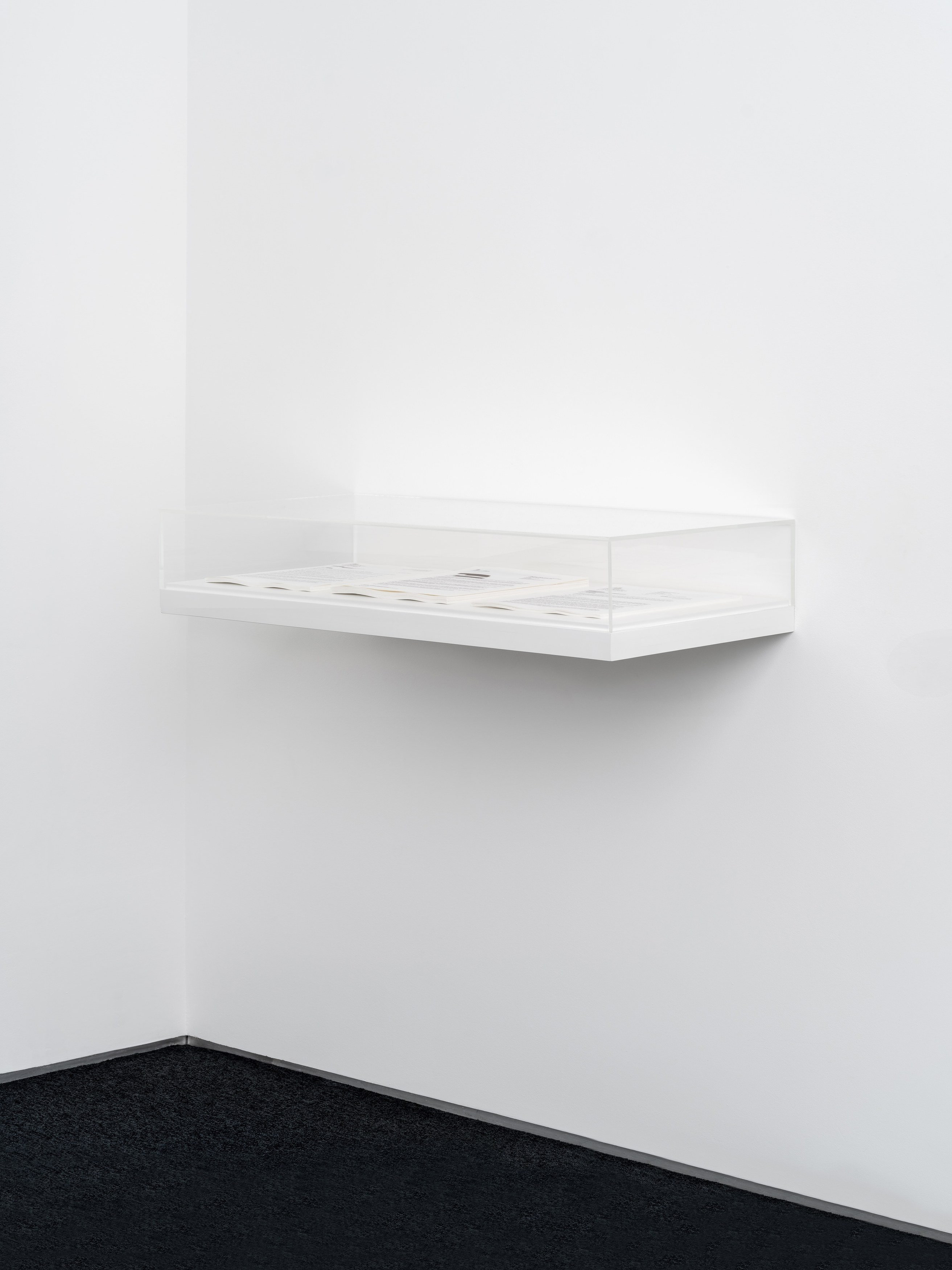 Ceidra Moon Murphy, Public Interest at A. Squire, photo 10