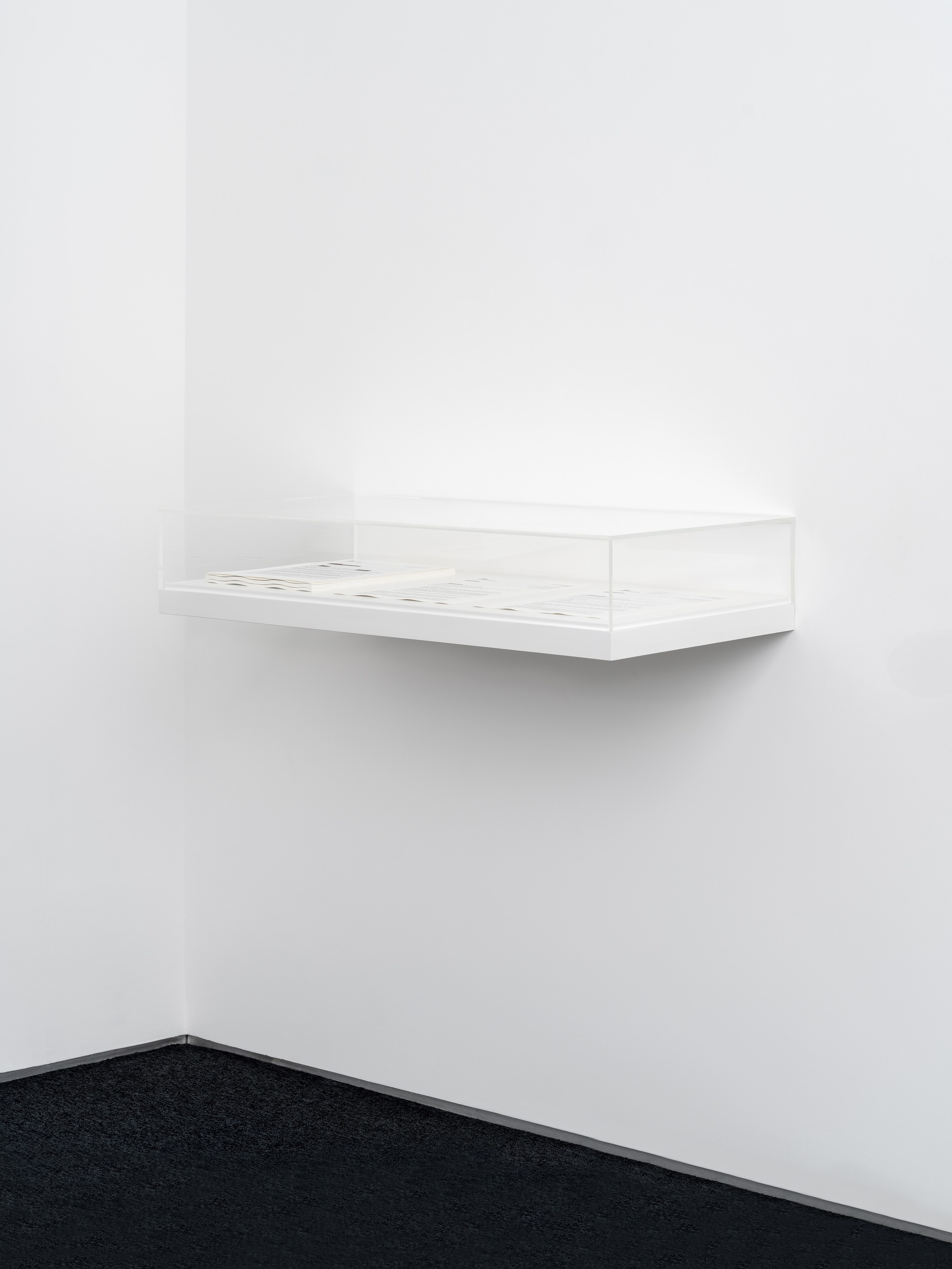 Ceidra Moon Murphy, Public Interest at A. Squire, photo 16