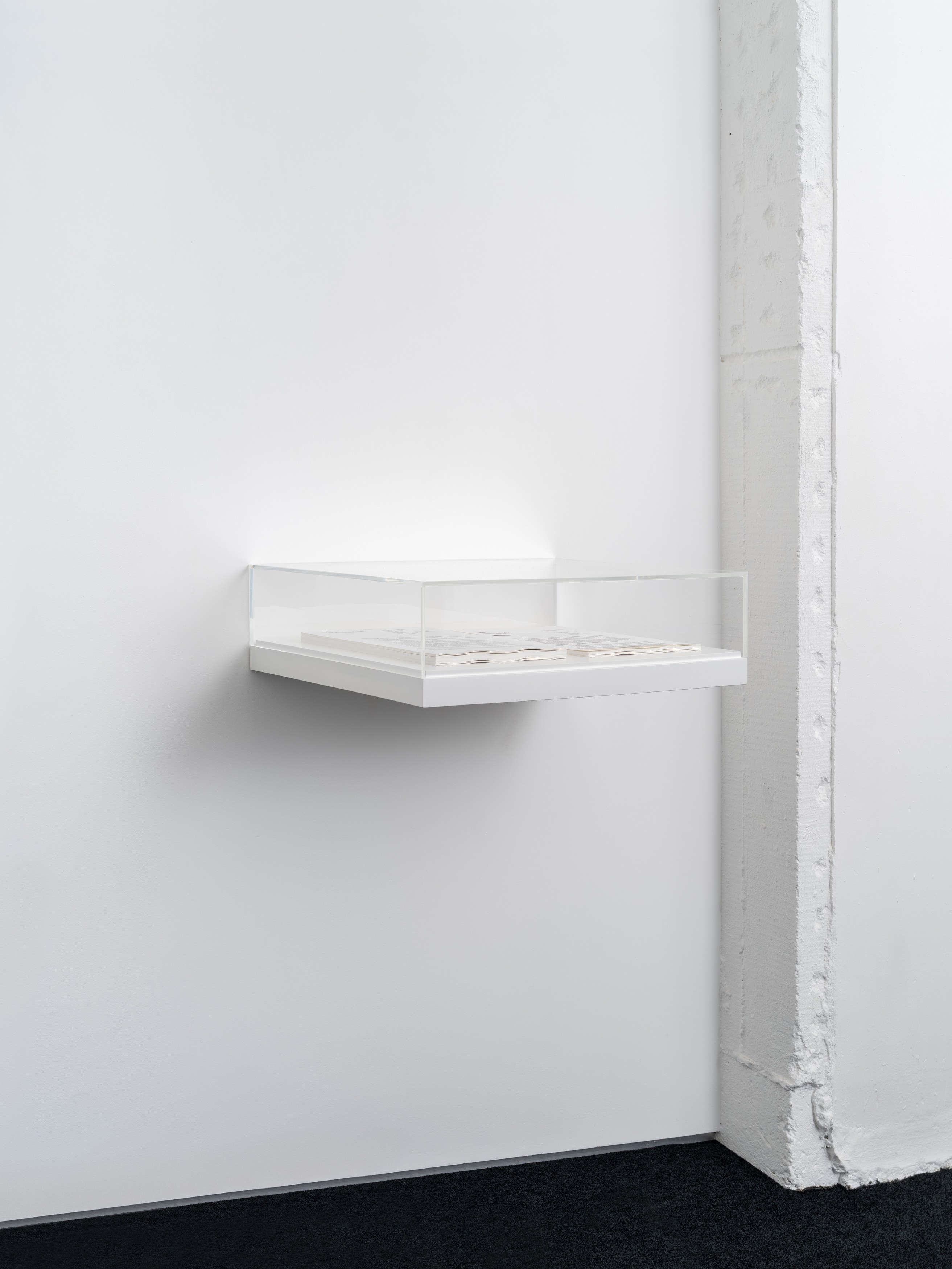 Ceidra Moon Murphy, Public Interest at A. Squire, photo 21