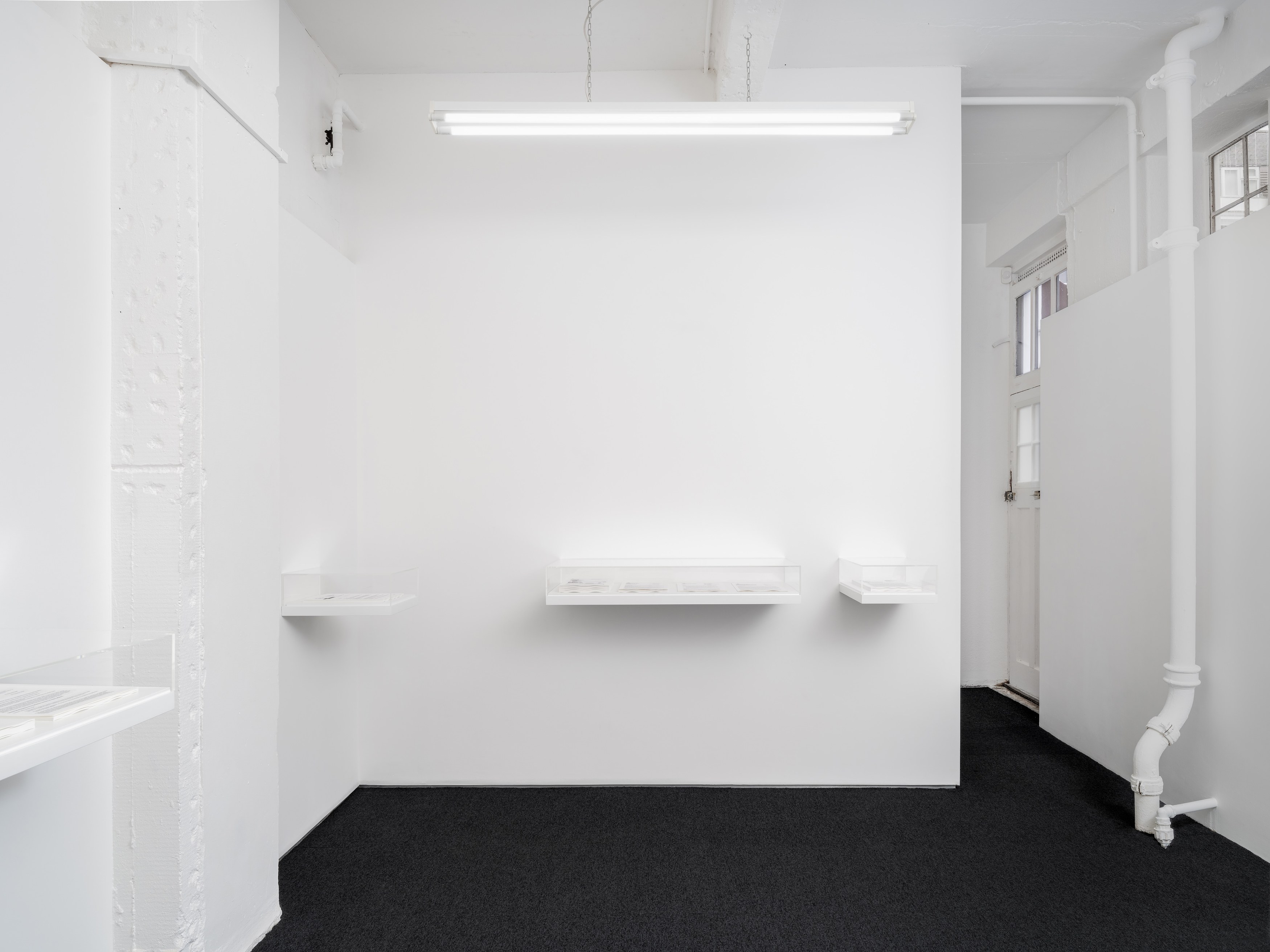 Ceidra Moon Murphy, Public Interest at A. Squire, photo 26