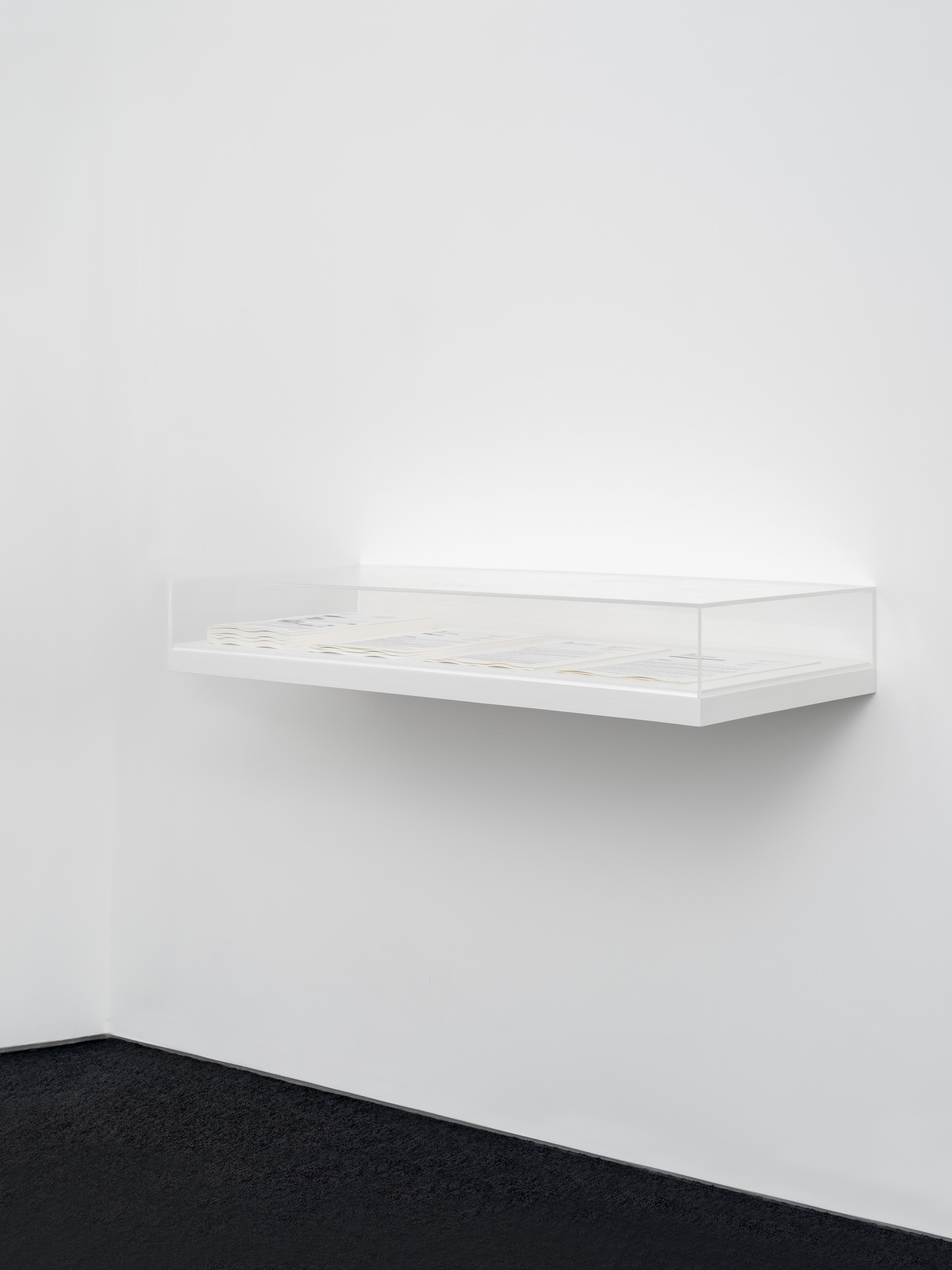 Ceidra Moon Murphy, Public Interest at A. Squire, photo 28