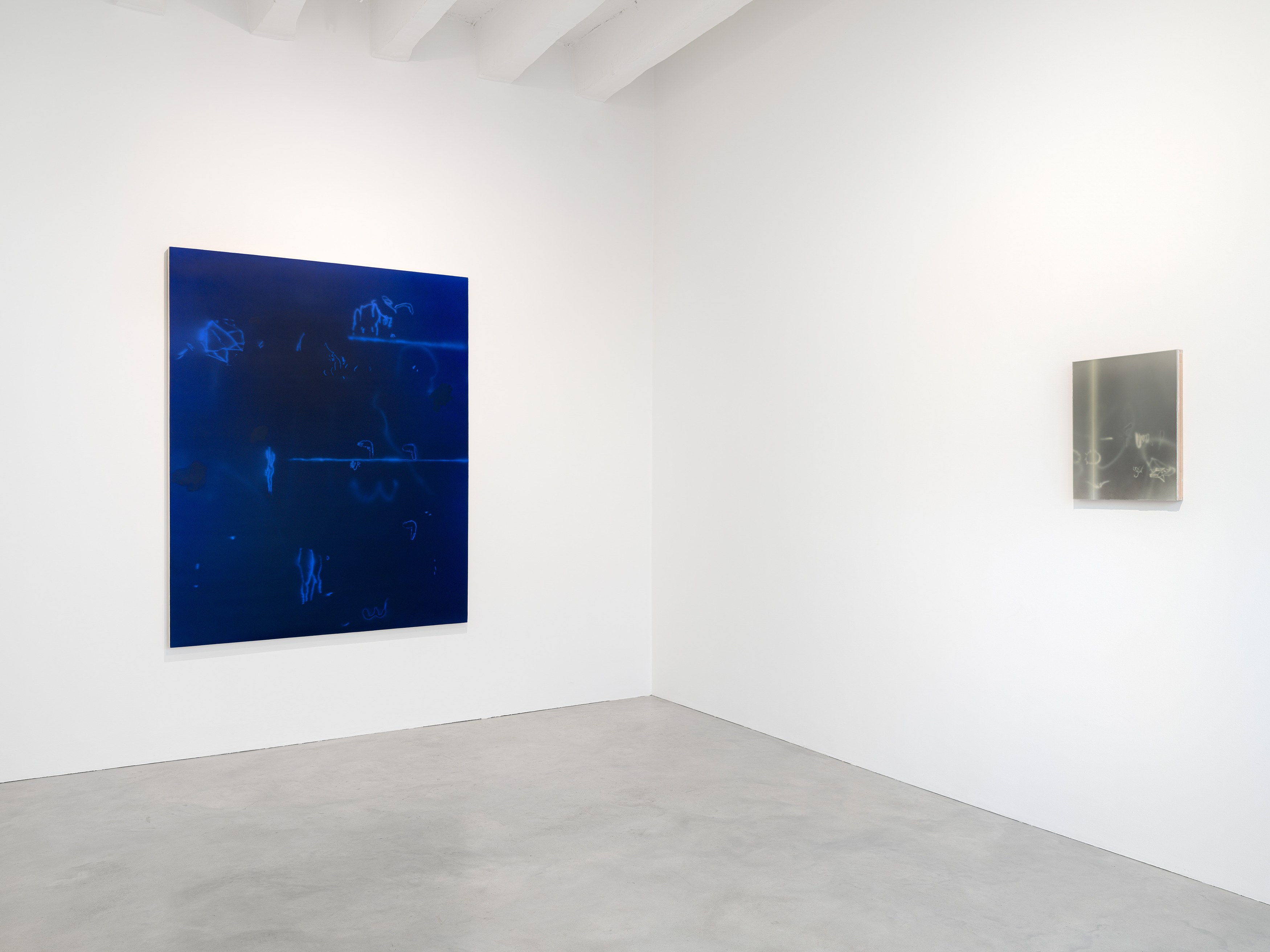 Jerónimo Rüedi, And Between us Occurs the Following Conversation at Galerie Nordenhake, photo 2