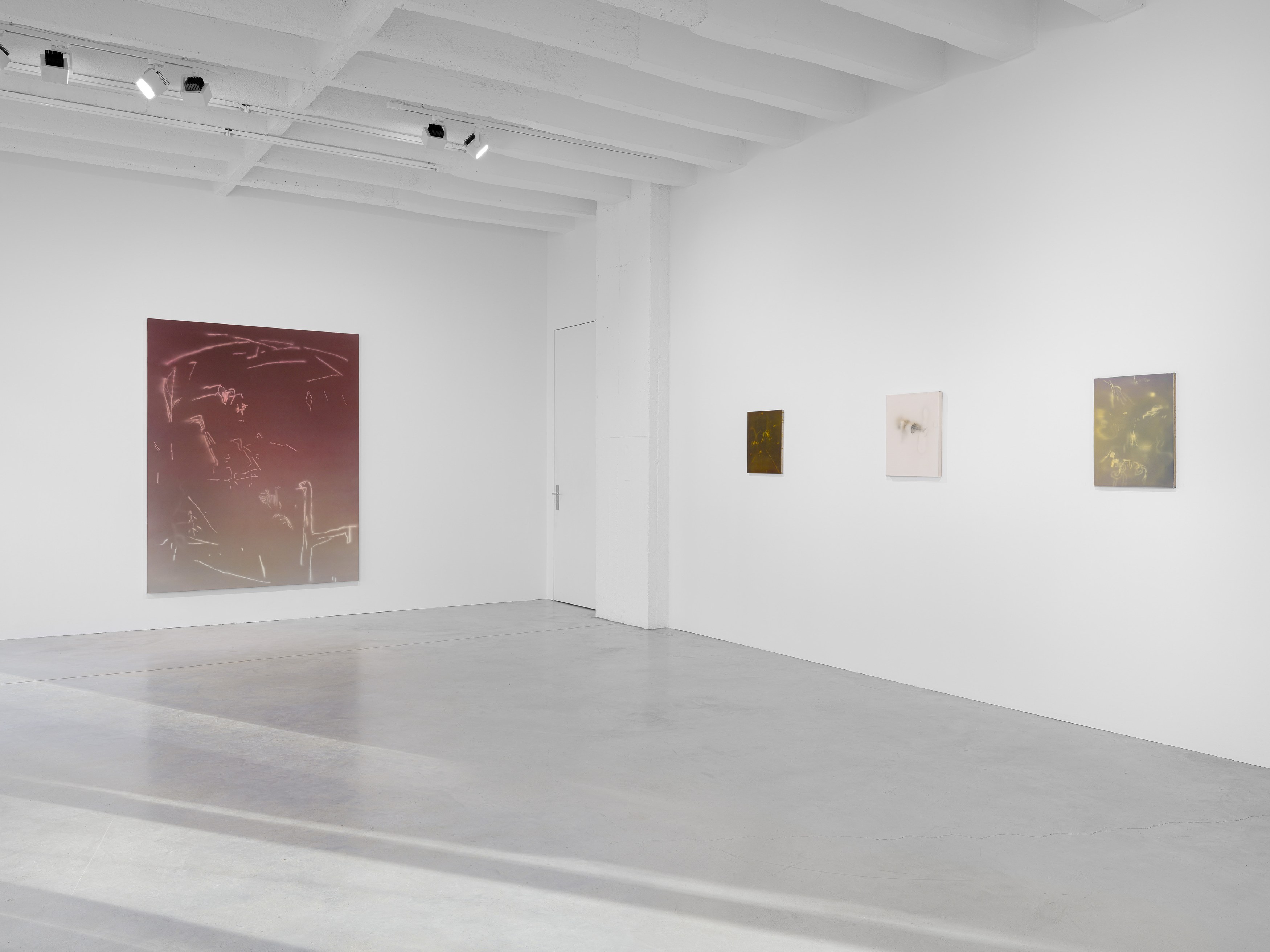 Jerónimo Rüedi, And Between us Occurs the Following Conversation at Galerie Nordenhake, photo 5