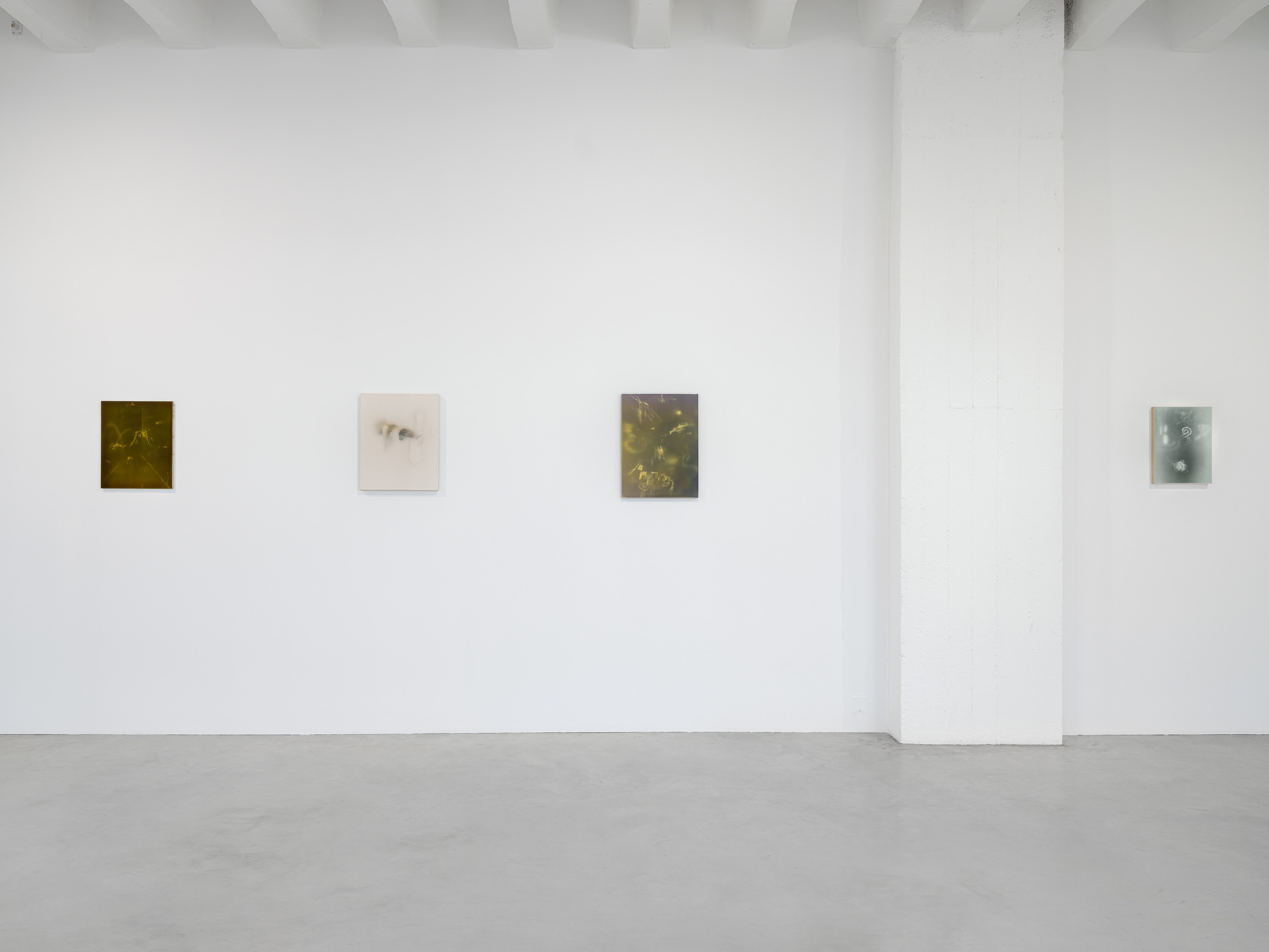 Jerónimo Rüedi, And Between us Occurs the Following Conversation at Galerie Nordenhake, photo 3