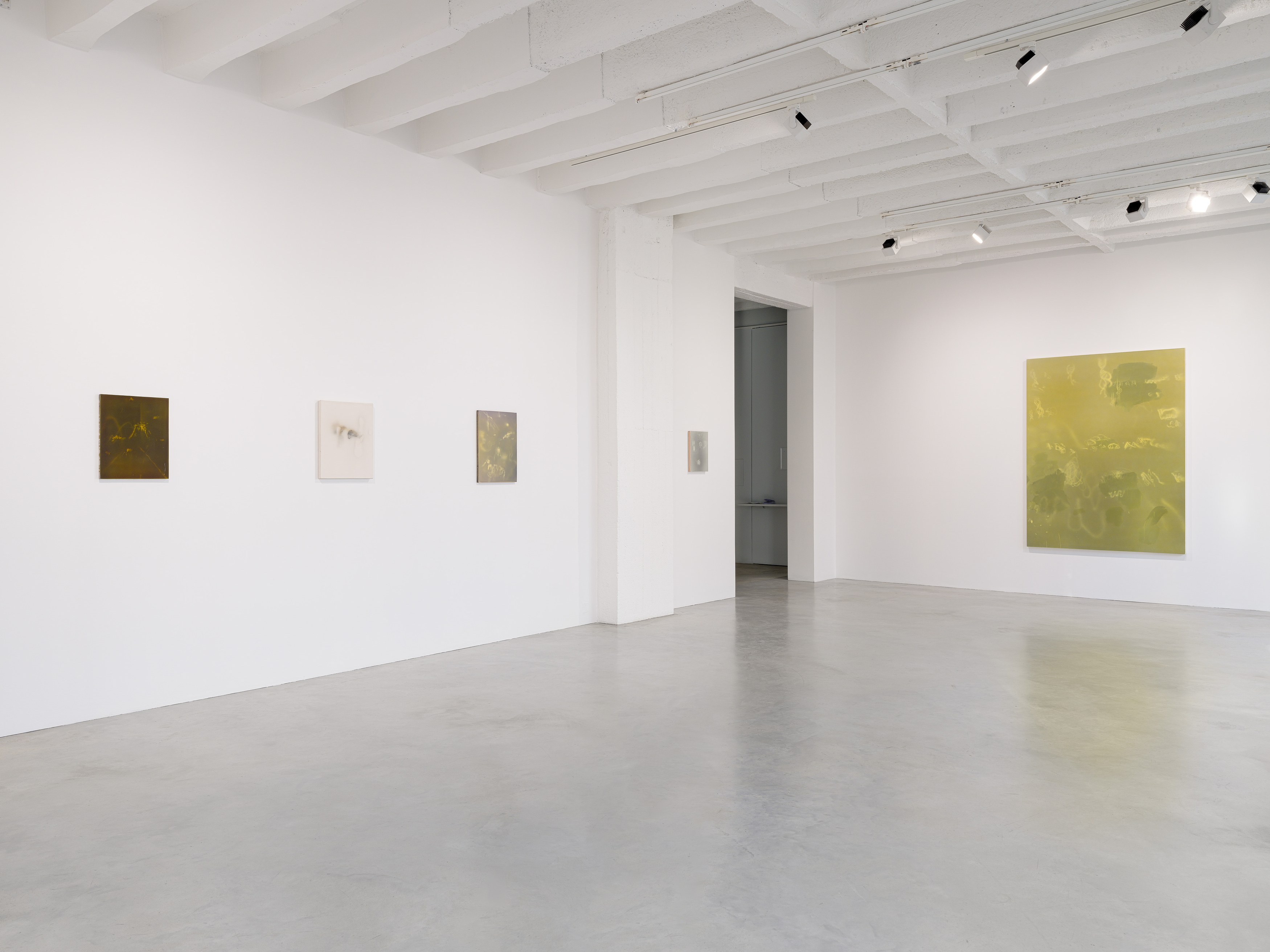 Jerónimo Rüedi, And Between us Occurs the Following Conversation at Galerie Nordenhake, photo 8