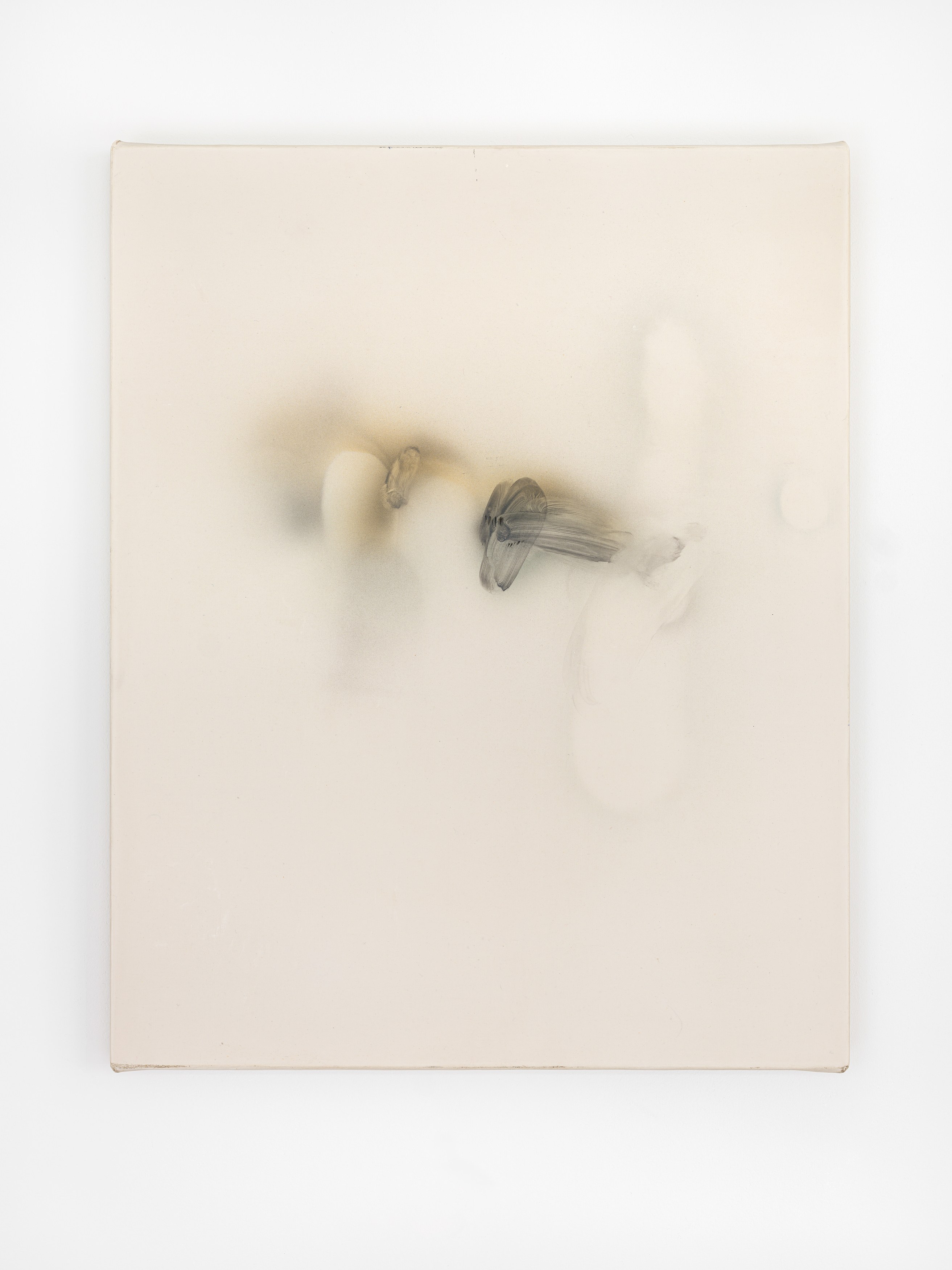 Jerónimo Rüedi, And Between us Occurs the Following Conversation at Galerie Nordenhake, photo 23