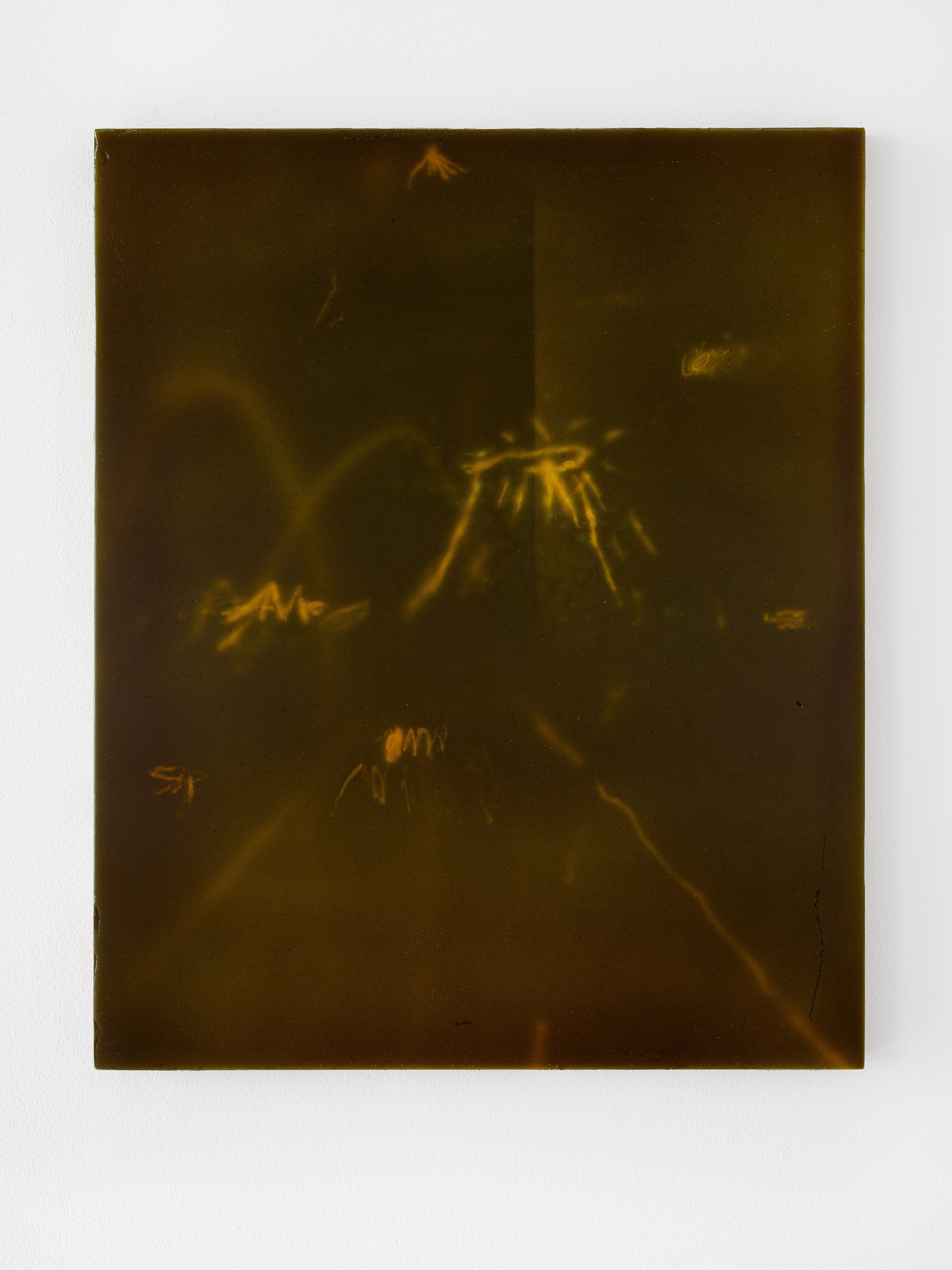 Jerónimo Rüedi, And Between us Occurs the Following Conversation at Galerie Nordenhake, photo 21