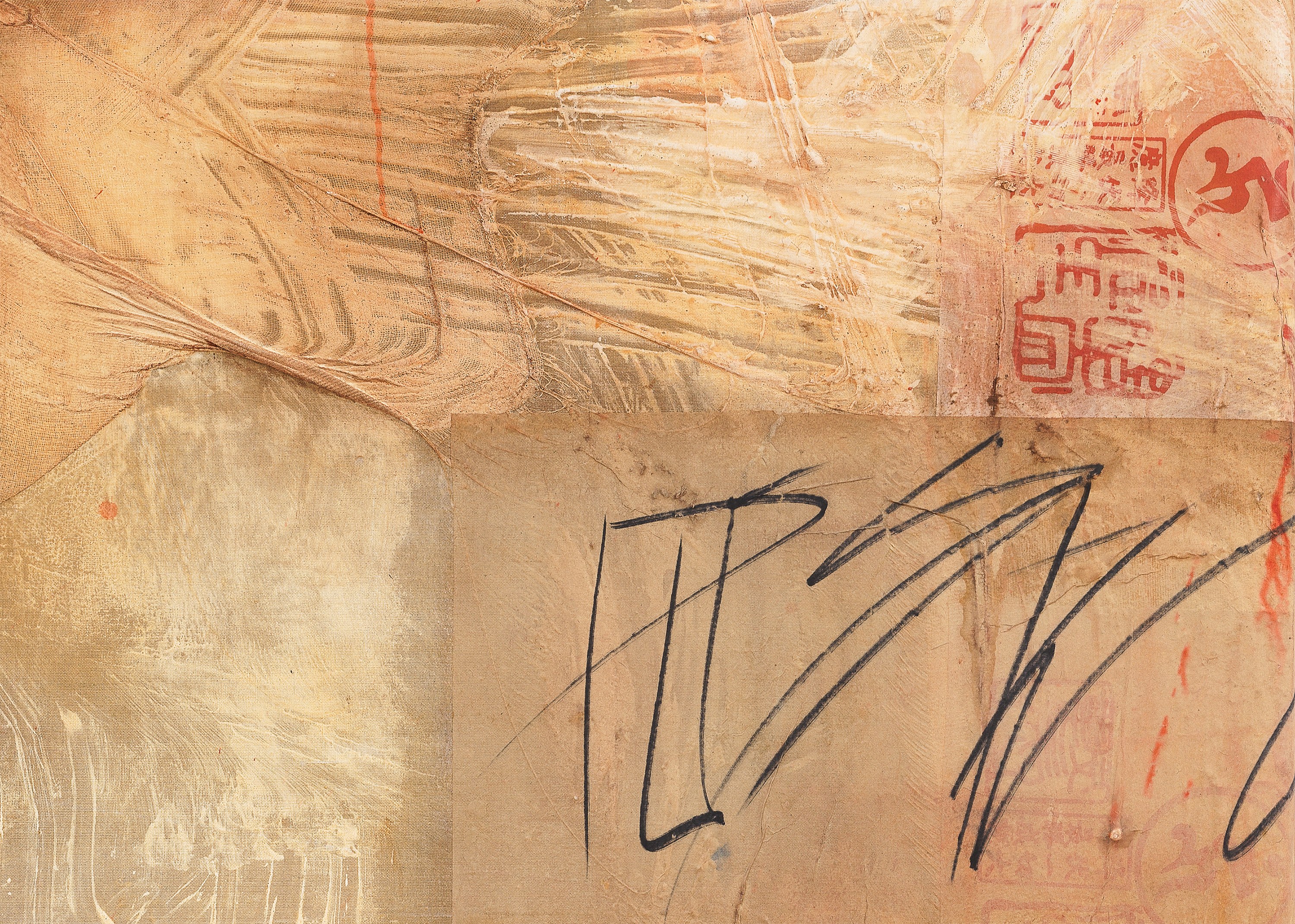 Minh Lan Tran, Devotion disorder at Francis Irv, photo 9