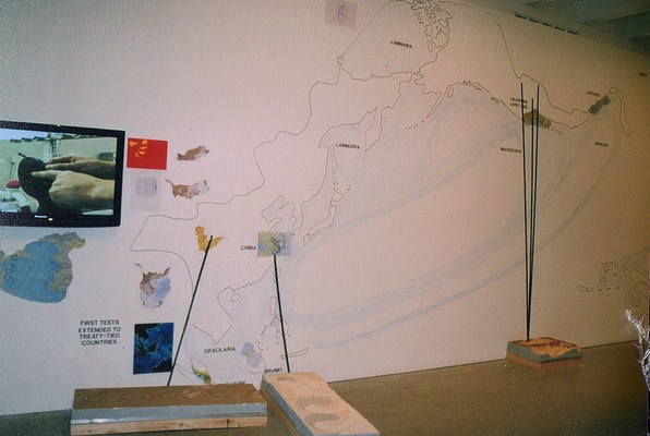 Image 4 of 18