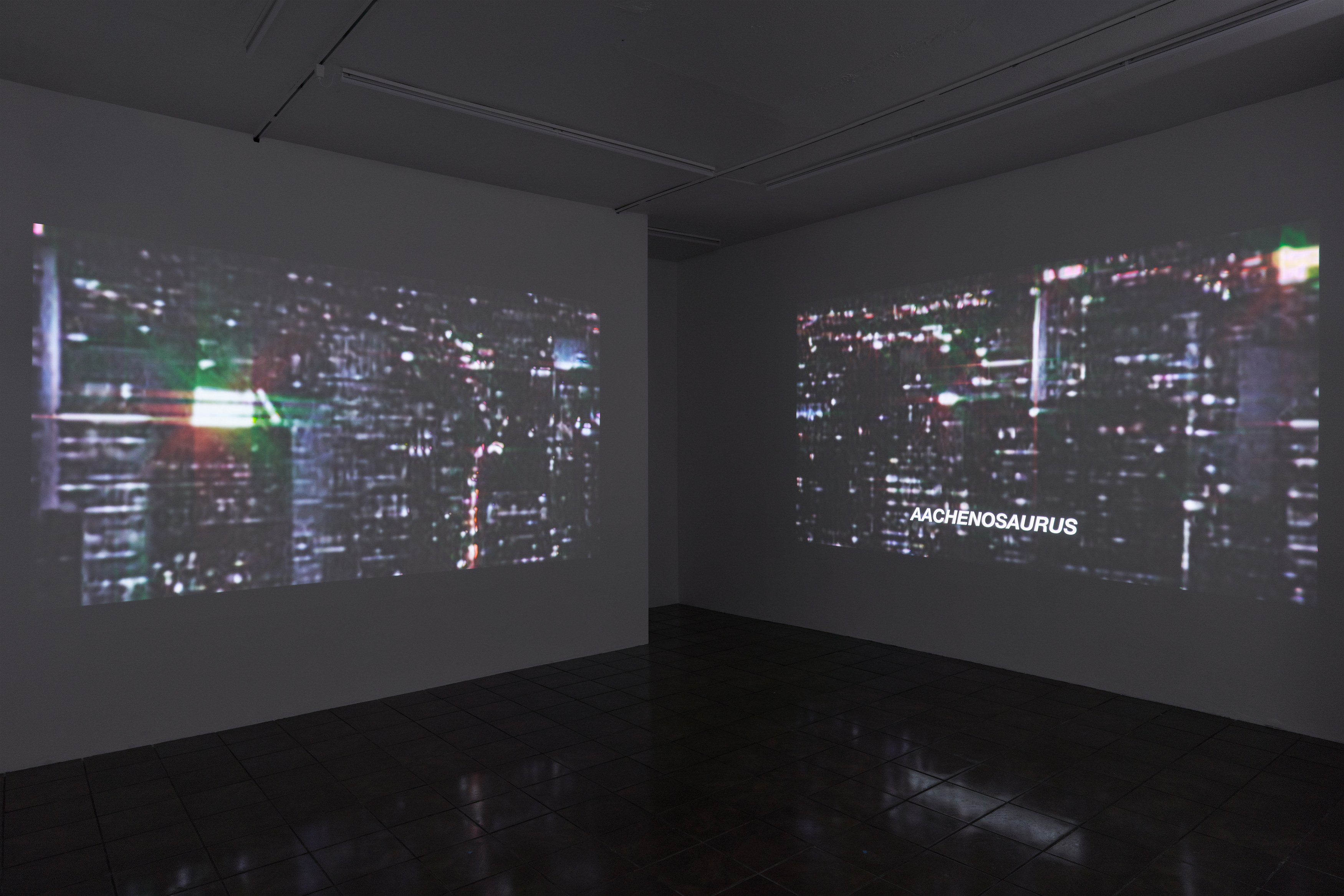 Michael Bell-Smith, Sara Magenheimer, Acetone Reality at Timeshare, photo 3