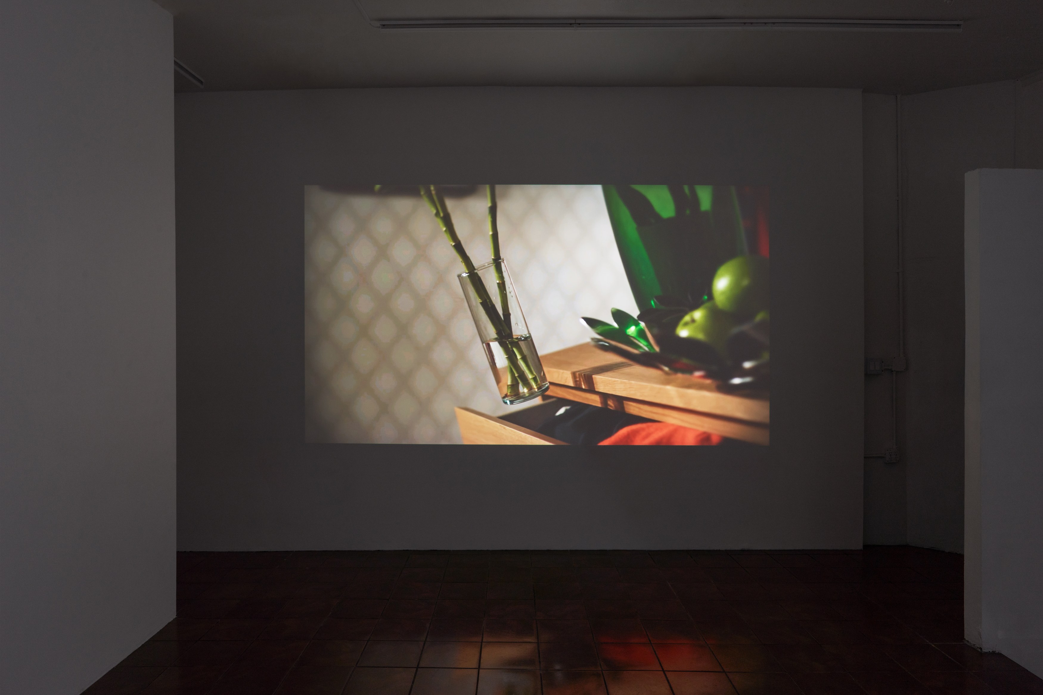 Michael Bell-Smith, Sara Magenheimer, Acetone Reality at Timeshare, photo 6