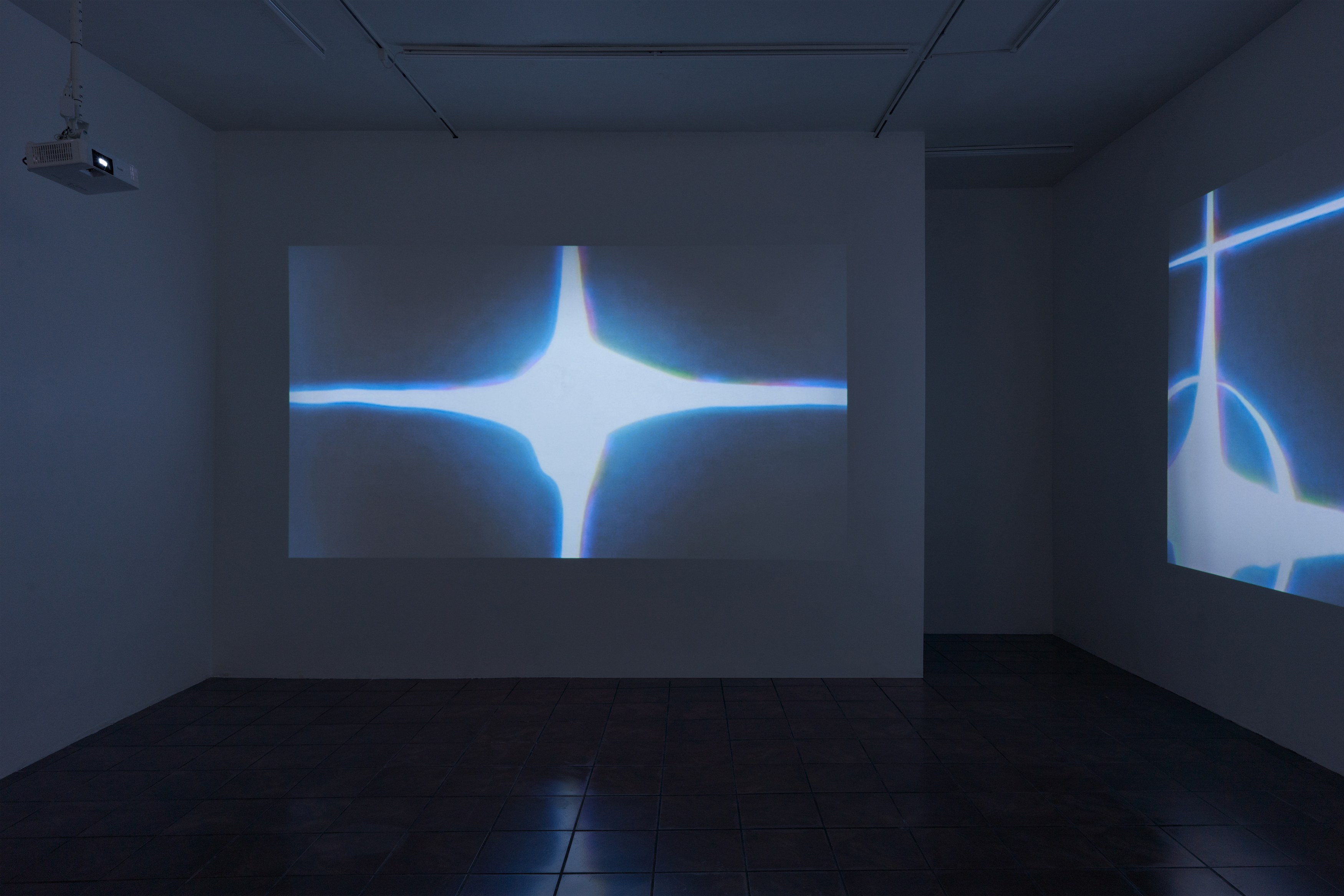Michael Bell-Smith, Sara Magenheimer, Acetone Reality at Timeshare, photo 5