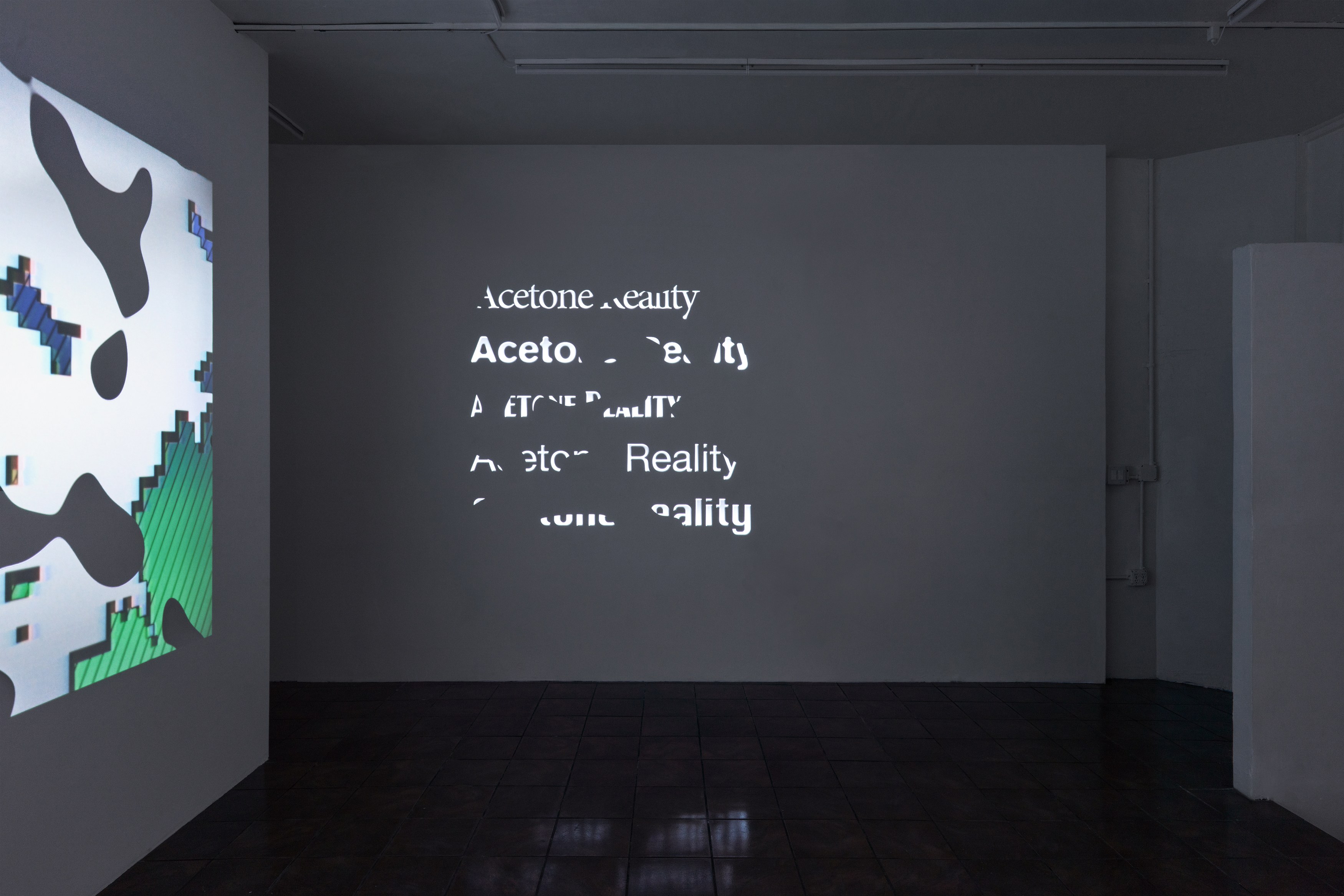 Michael Bell-Smith, Sara Magenheimer, Acetone Reality at Timeshare, photo 7