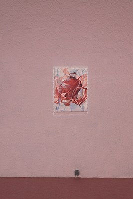 Image 19 of 33