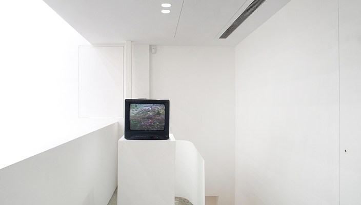 Image 19 of 20