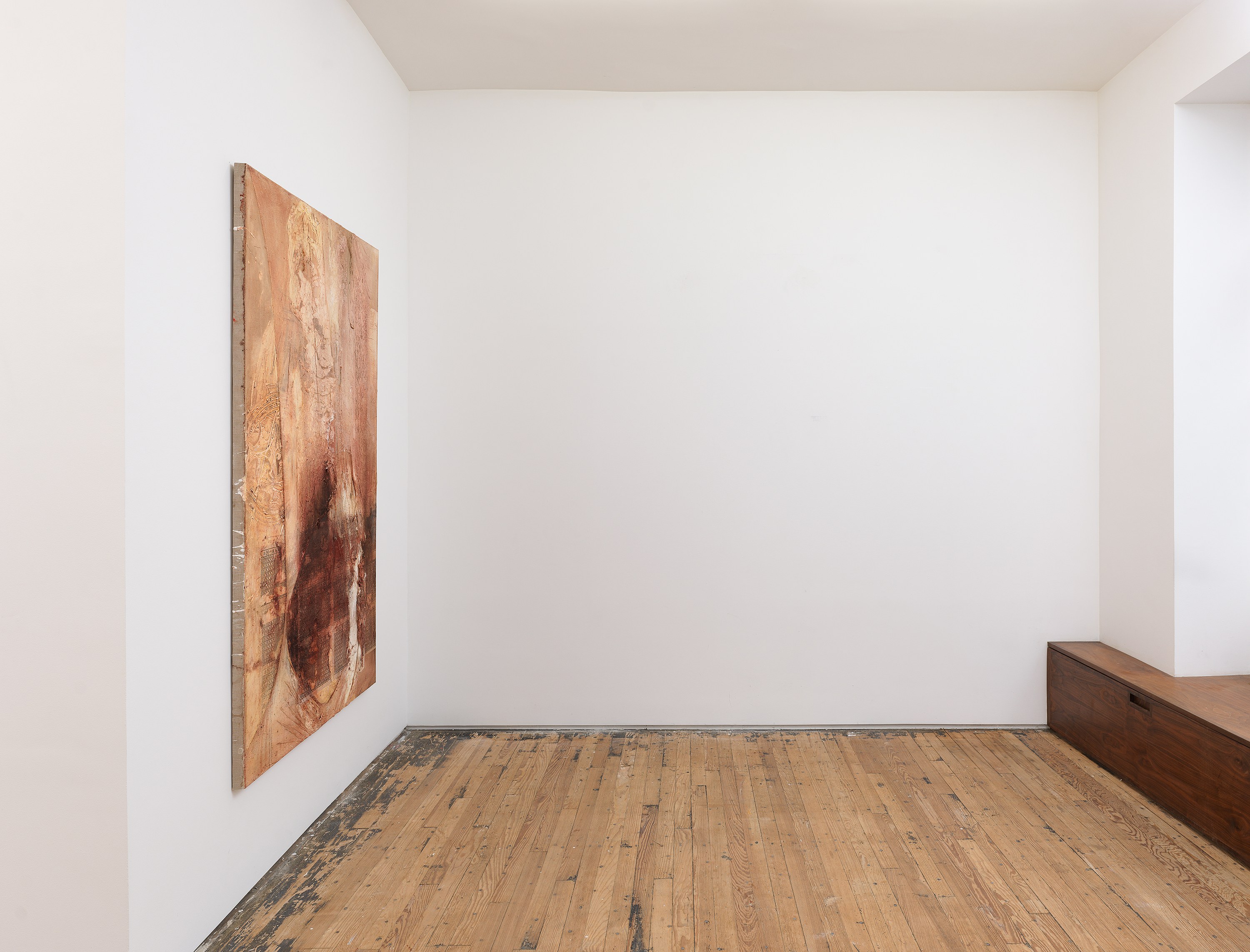Minh Lan Tran, Devotion disorder at Francis Irv, photo 4