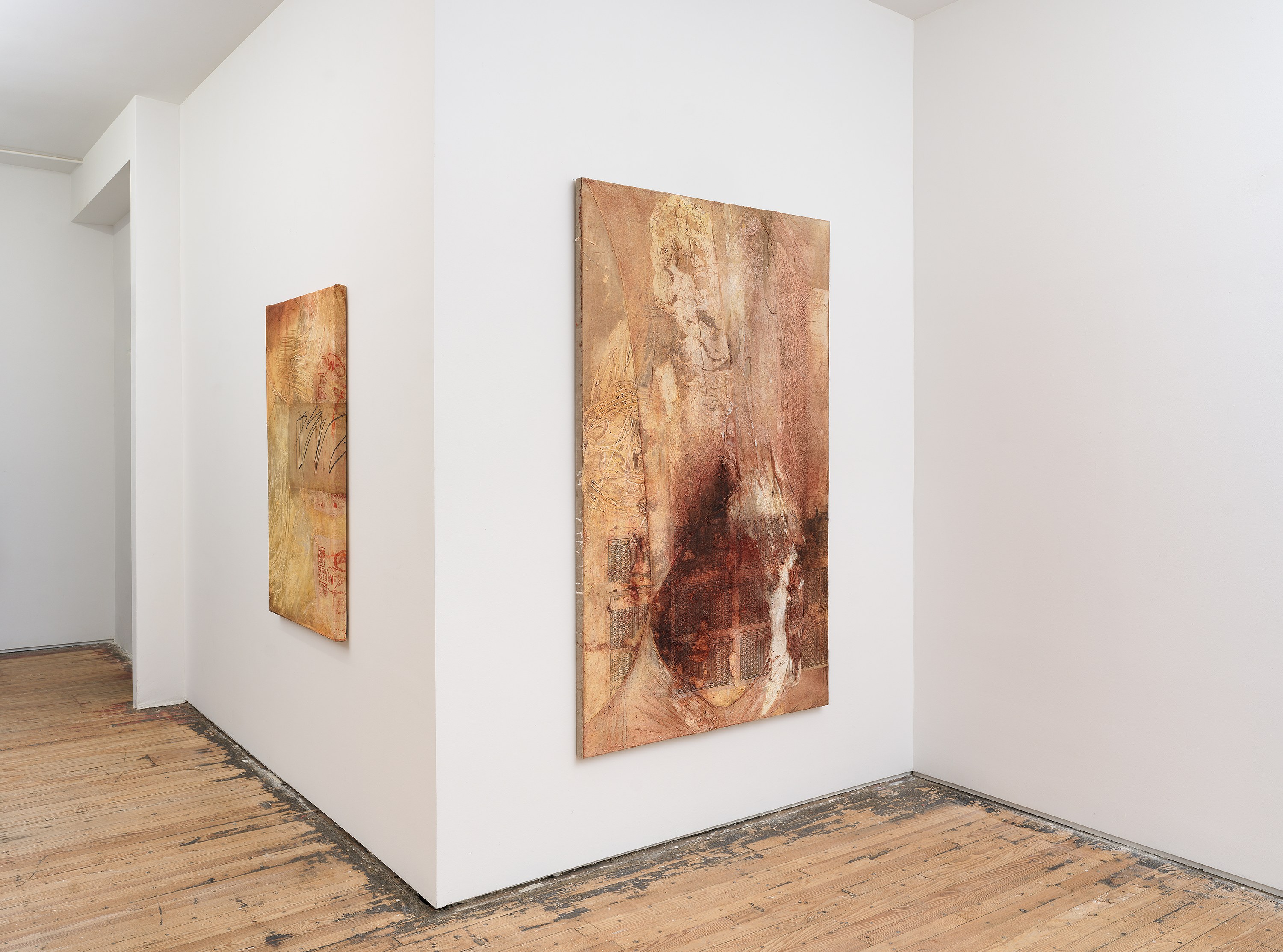 Minh Lan Tran, Devotion disorder at Francis Irv, photo 5
