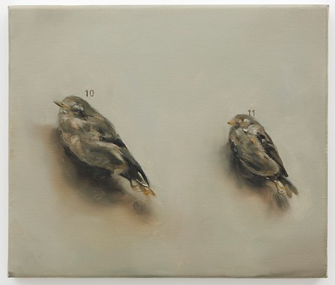 Image 13 of 31