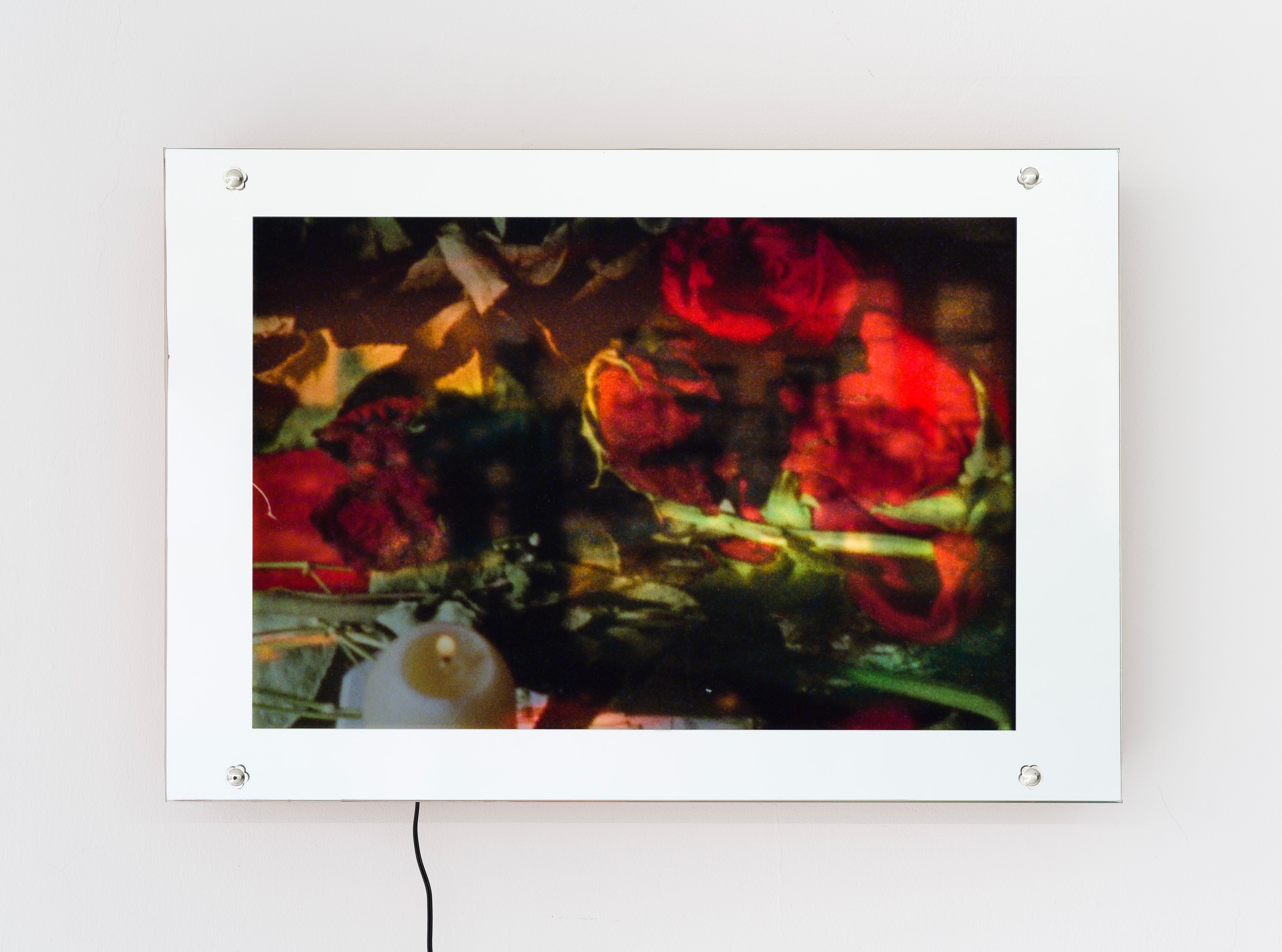Jenna Bliss, Blue Light in the Living Room at Ulrik, photo 14