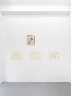 Image 2 of 10