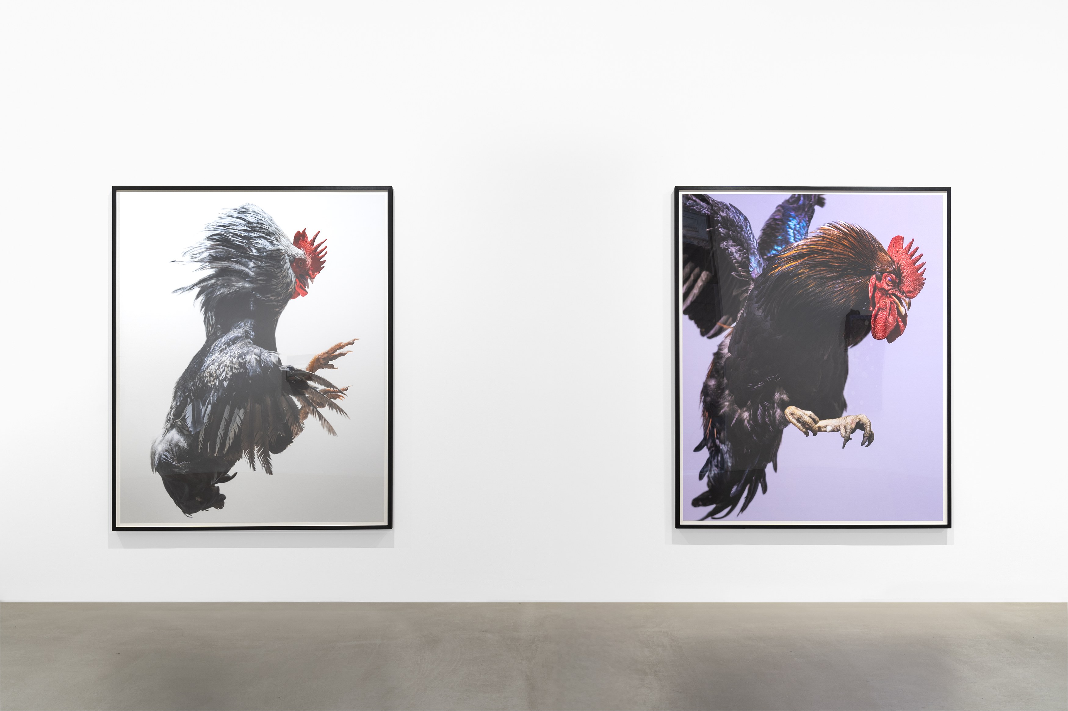 Égrégore, Égrégore at Galerie Chantal Crousel, photo 2
