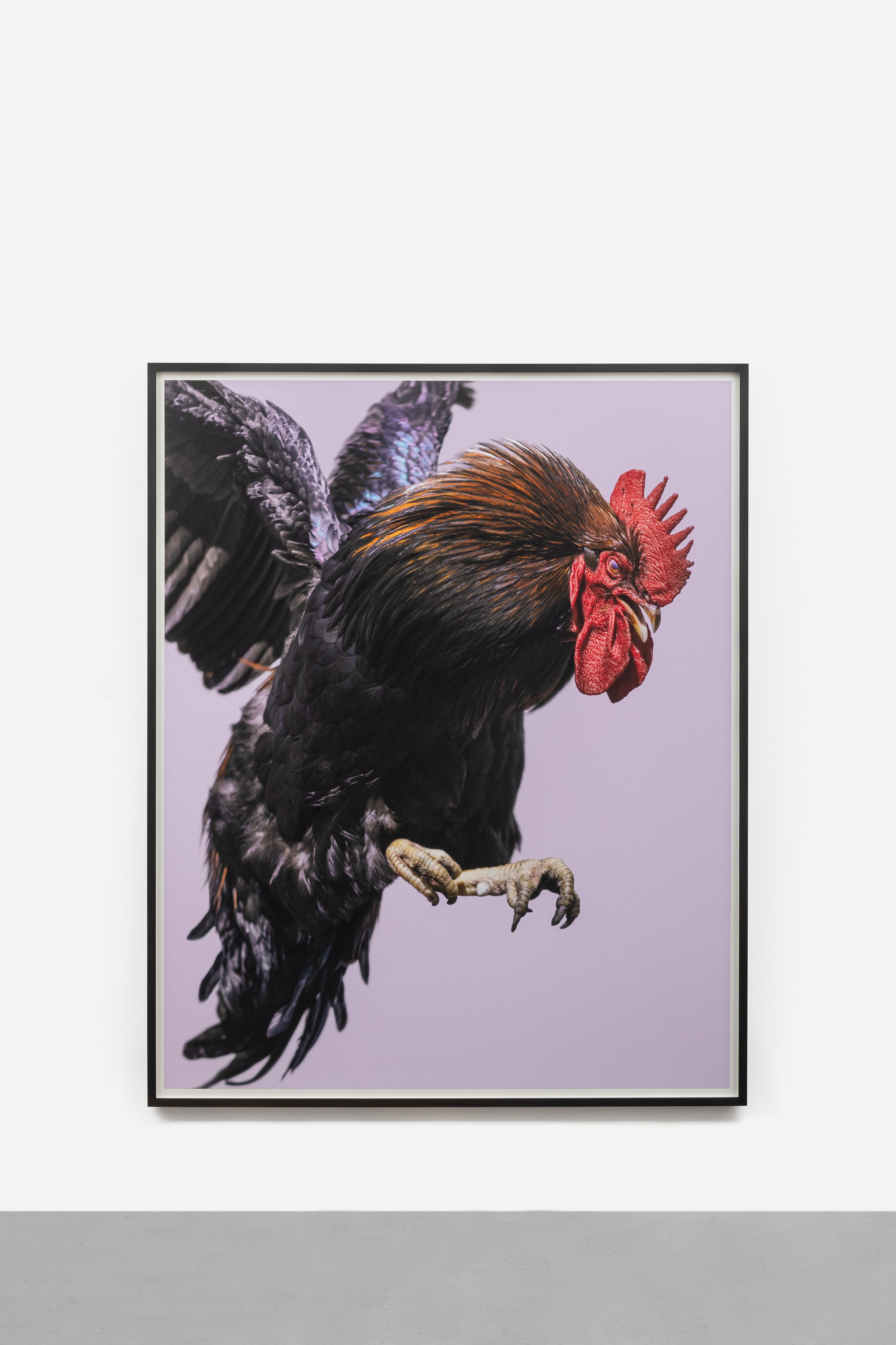 Égrégore, Égrégore at Galerie Chantal Crousel, photo 11