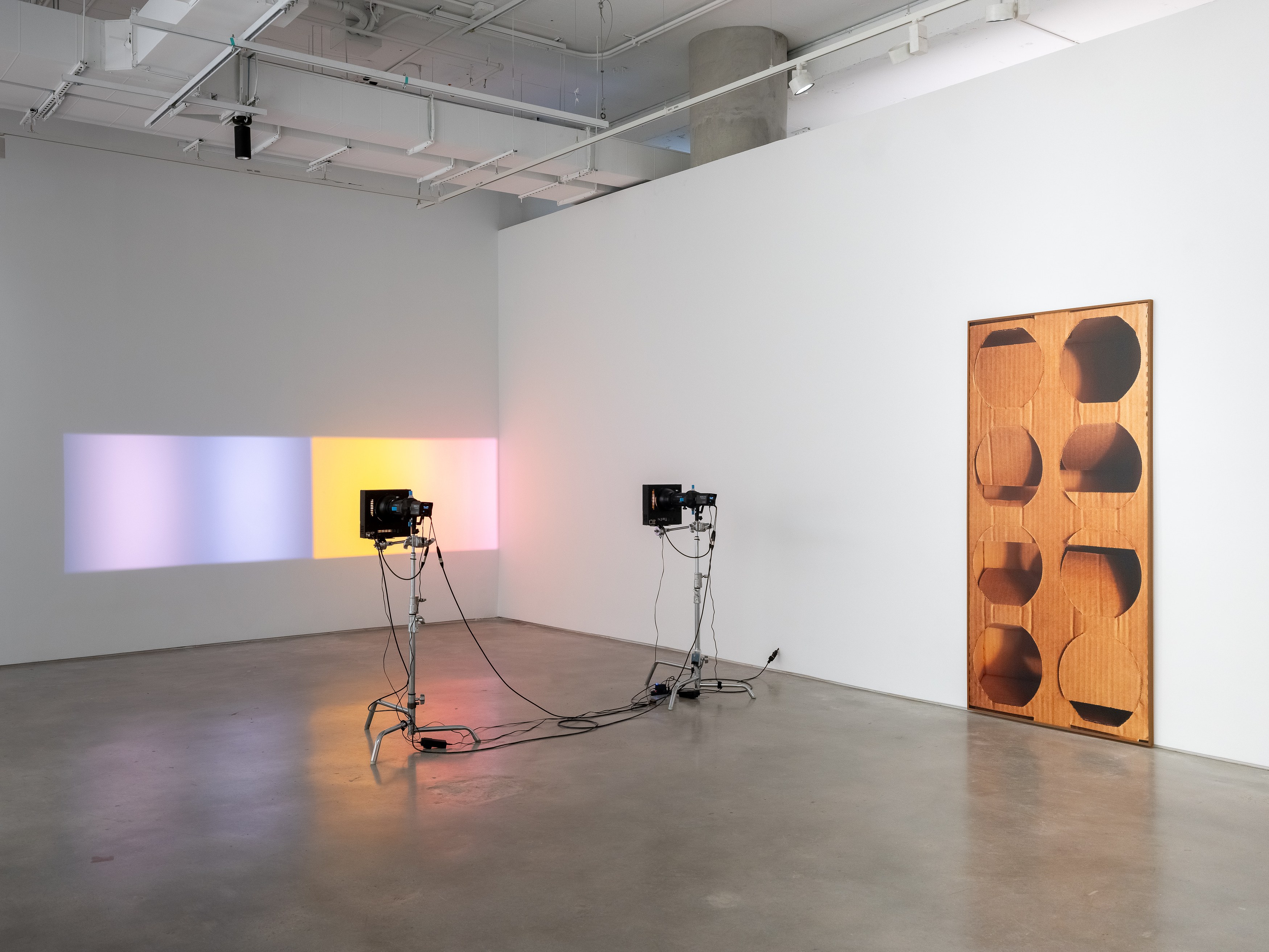 Lucia Koch, People and Natural Numbers at Nara Roesler, photo 8