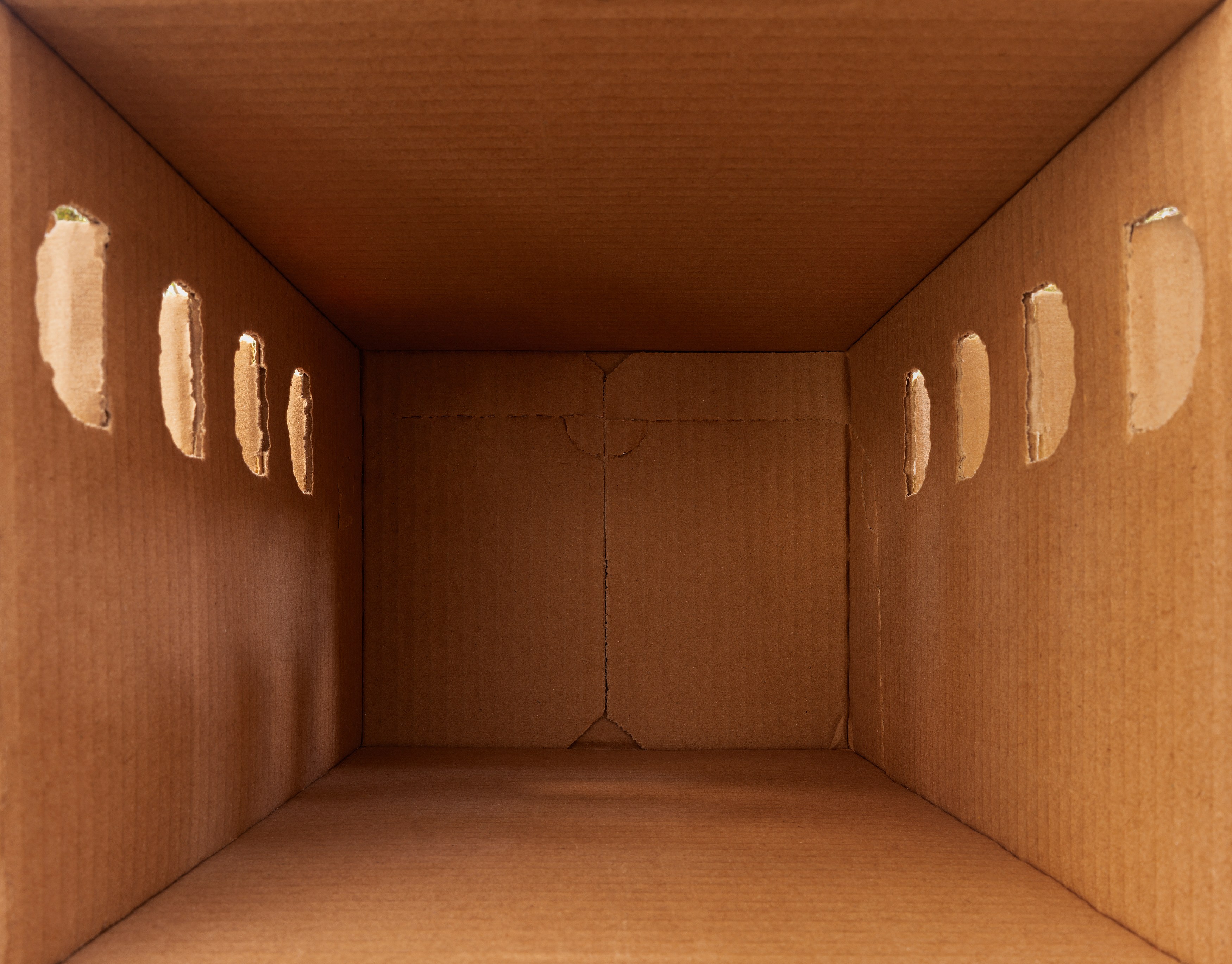 Lucia Koch, People and Natural Numbers at Nara Roesler, photo 18