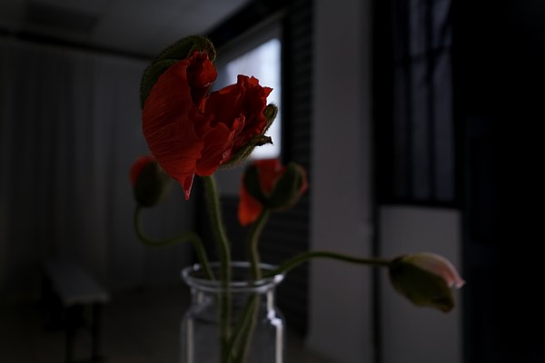 Image 2 of 17