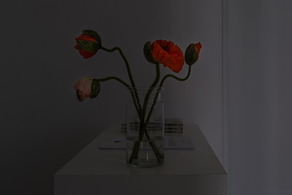 Image 9 of 17