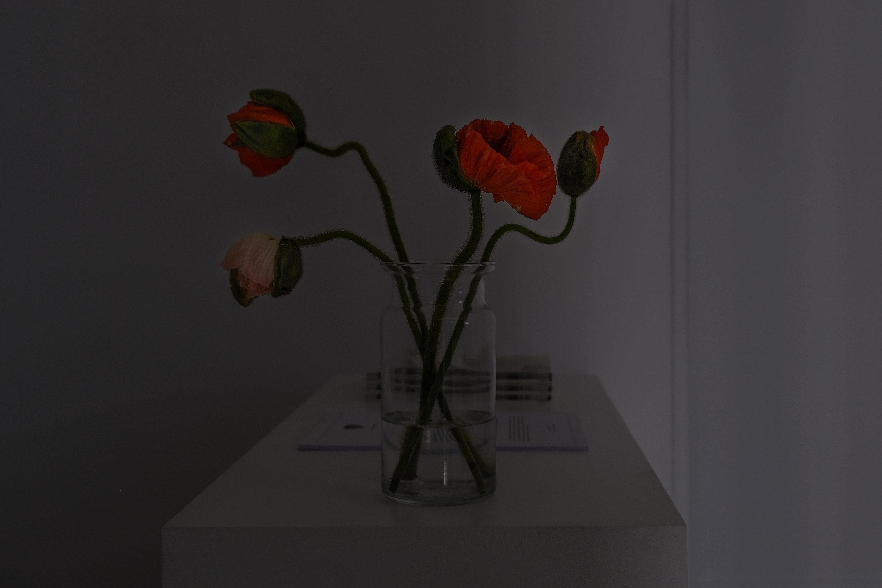 Sean Burns, Dorothy Towers at Goswell Road, photo 9