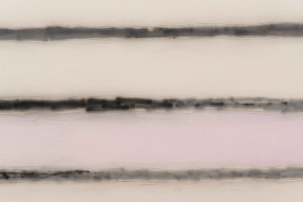 Image 21 of 24