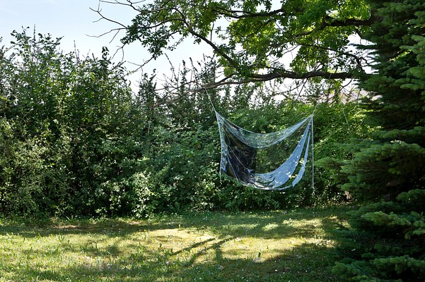 Image 18 of 39