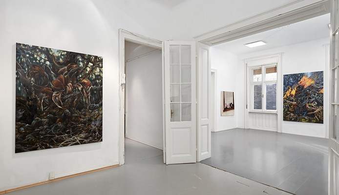 Image 10 of 21
