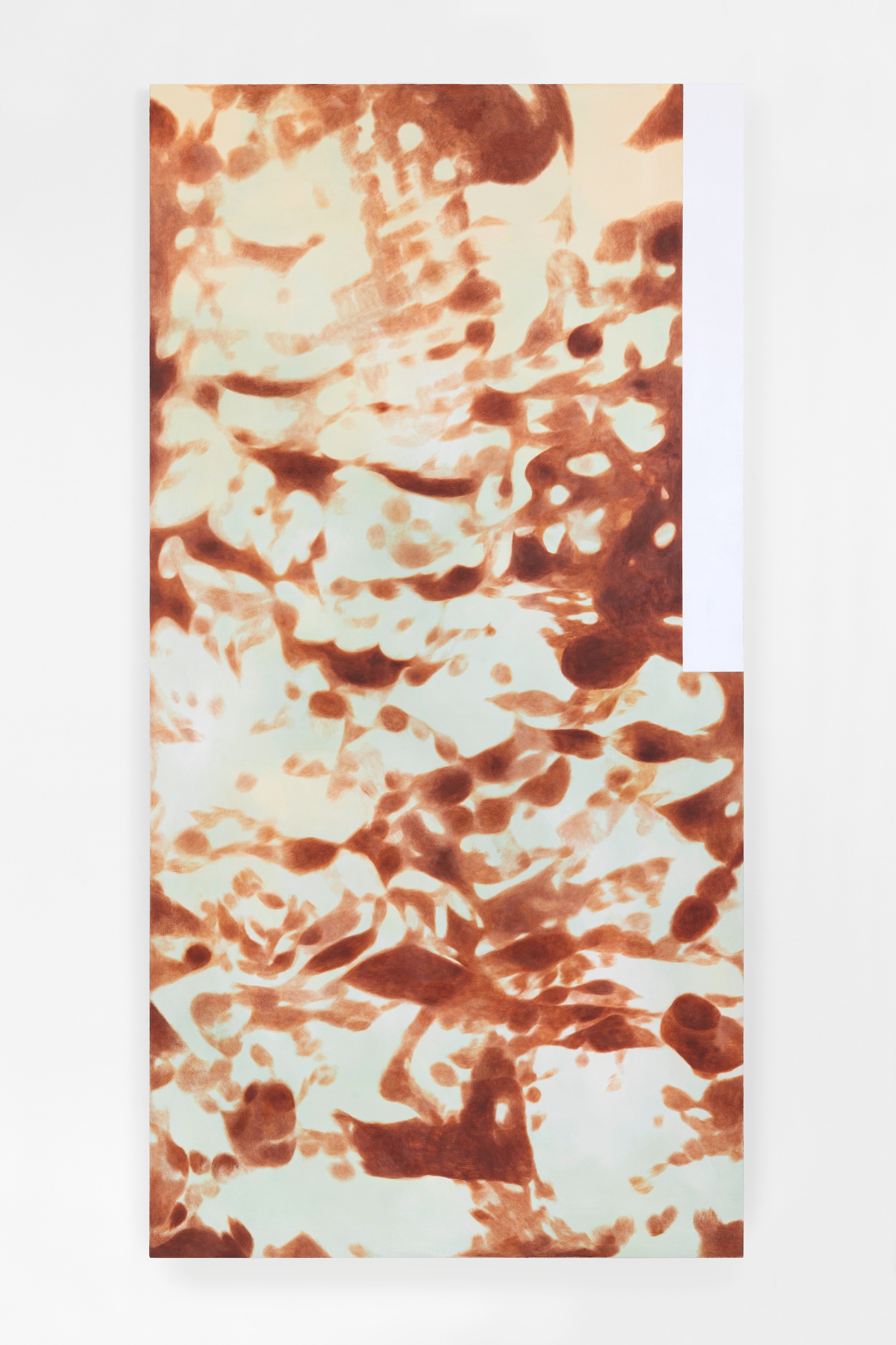 Ida Badal, Slide at Zodiac Pictures, photo 9