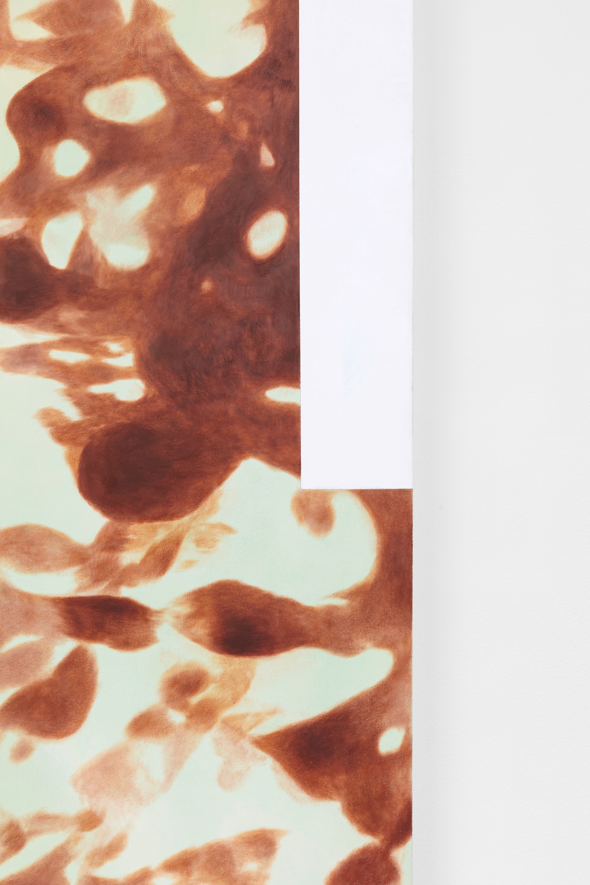 Ida Badal, Slide at Zodiac Pictures, photo 10