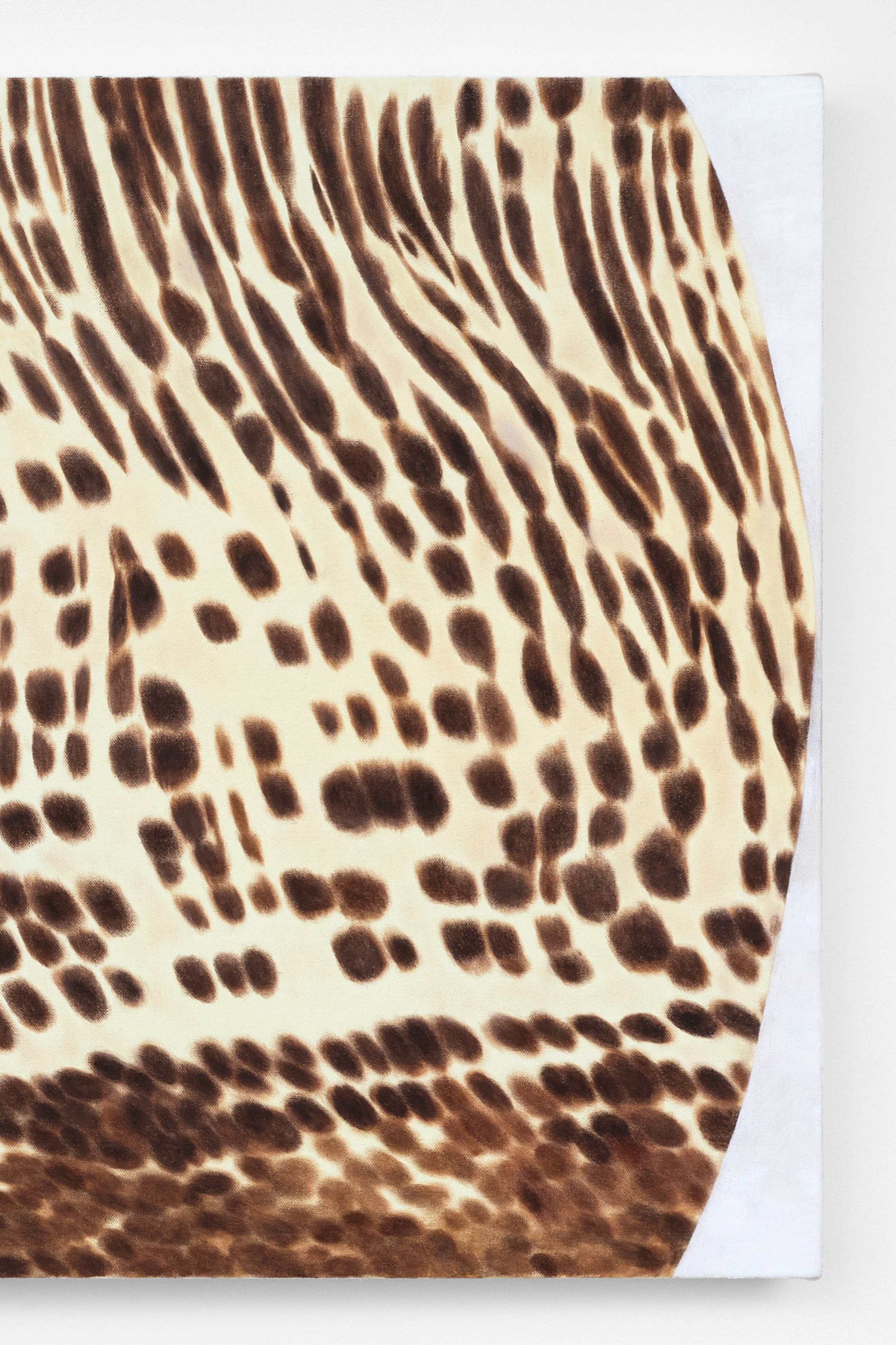 Ida Badal, Slide at Zodiac Pictures, photo 17