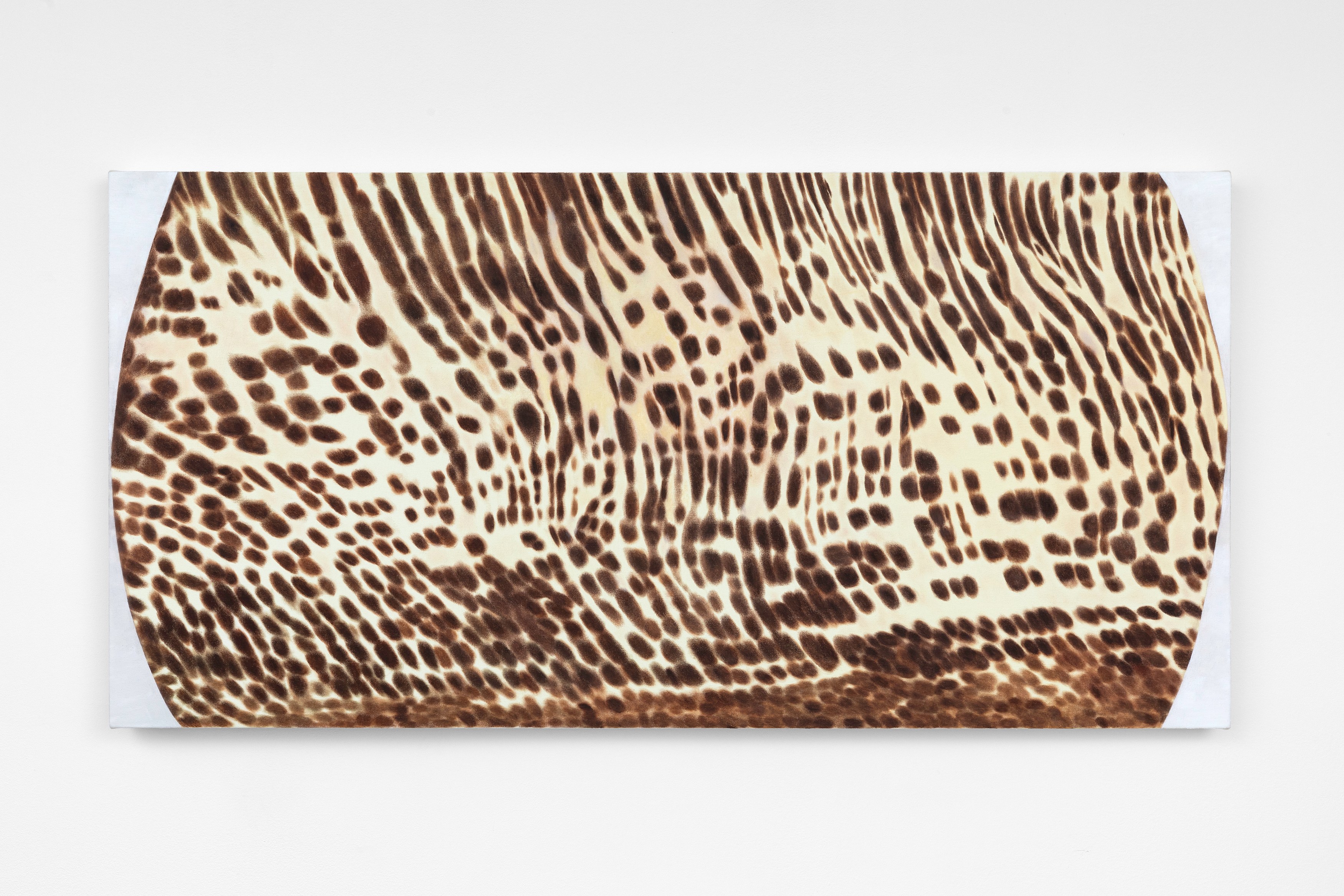 Ida Badal, Slide at Zodiac Pictures, photo 18