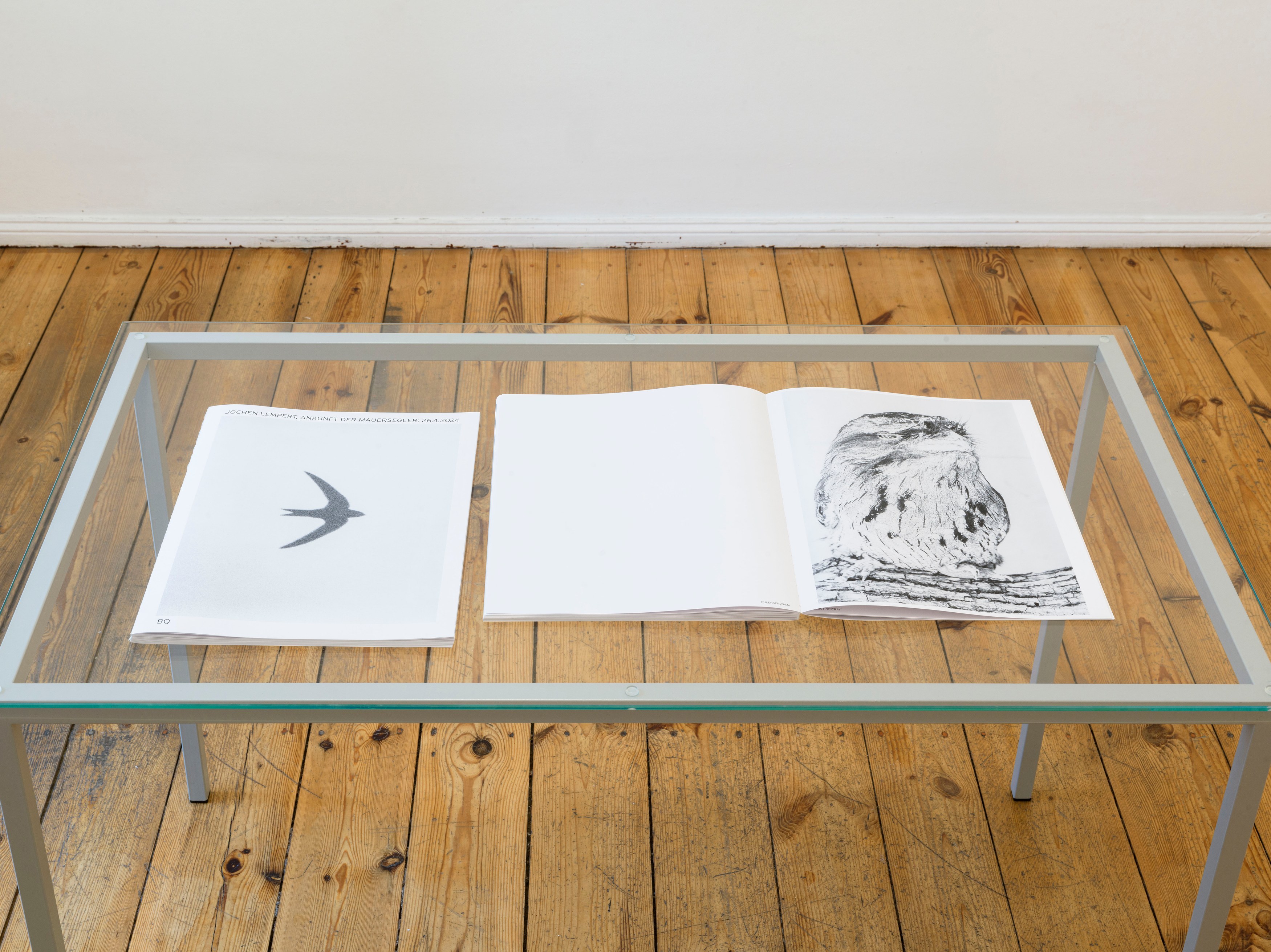 Jochen Lempert, Presentation of a Large Book and Small Photos at BQ, photo 6
