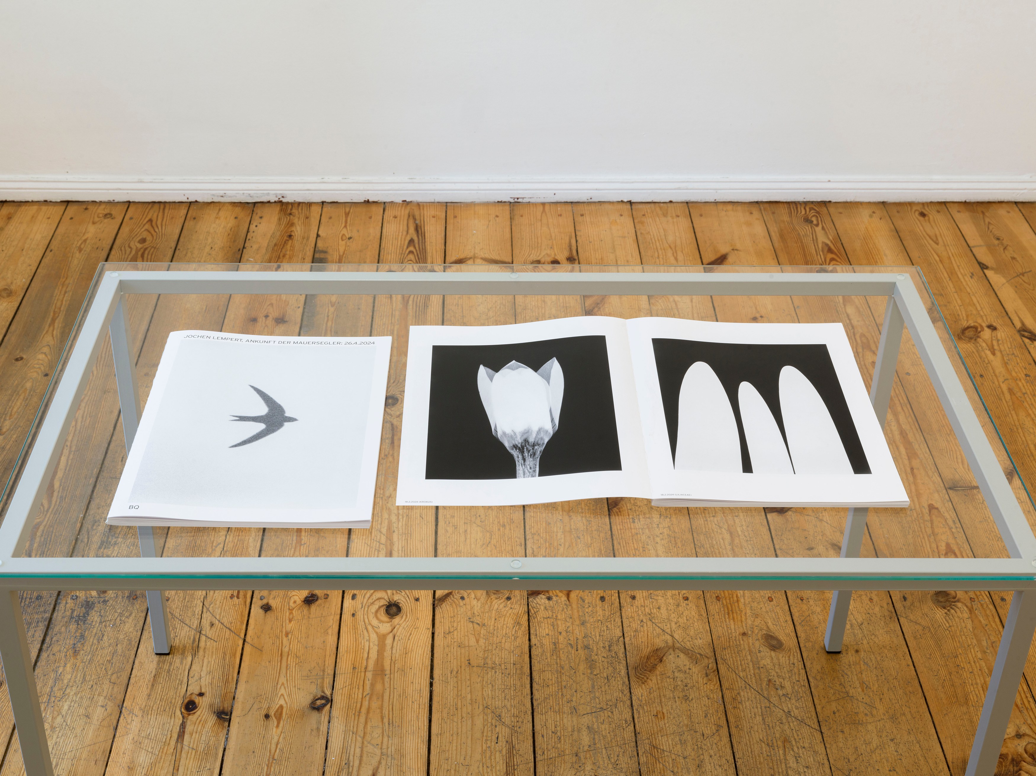 Jochen Lempert, Presentation of a Large Book and Small Photos at BQ, photo 7