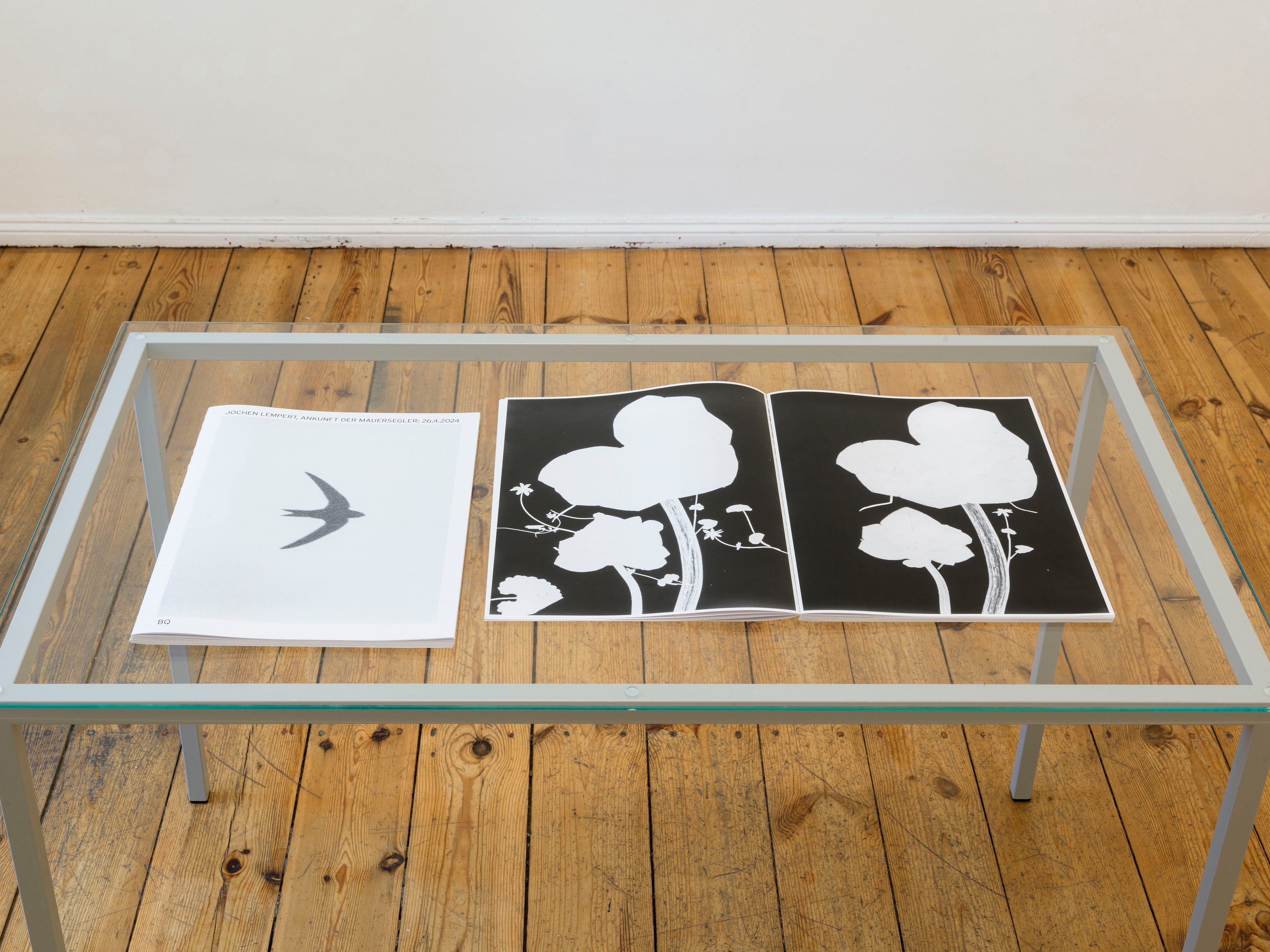 Jochen Lempert, Presentation of a Large Book and Small Photos at BQ, photo 8